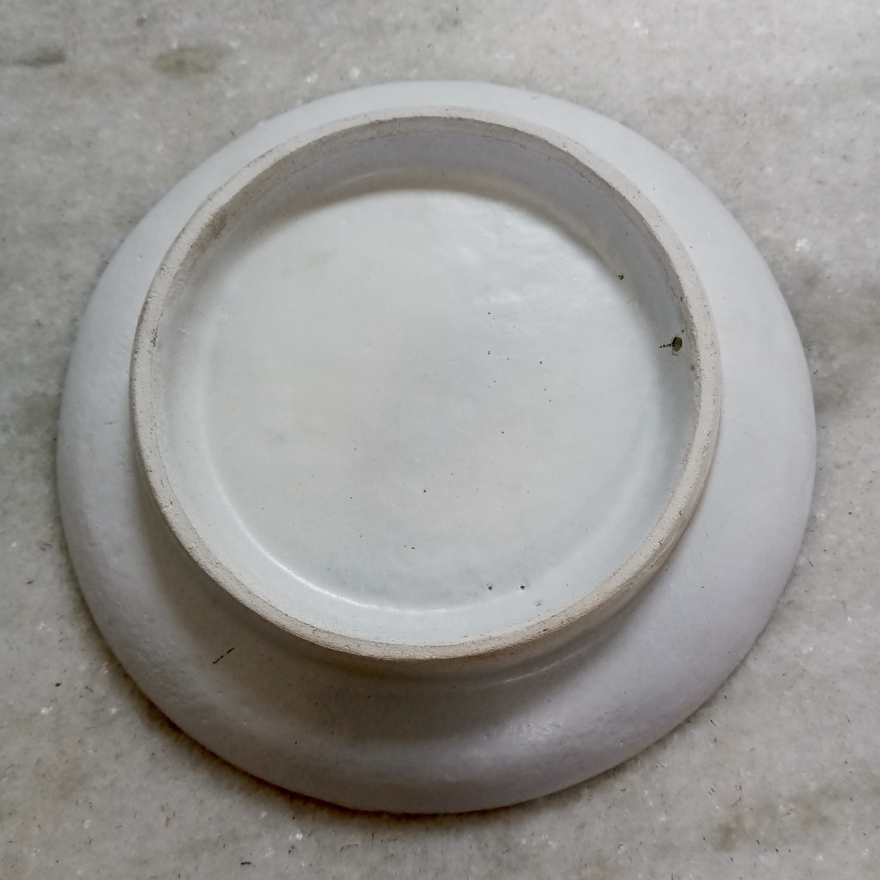 Peacock Ceramic Plate