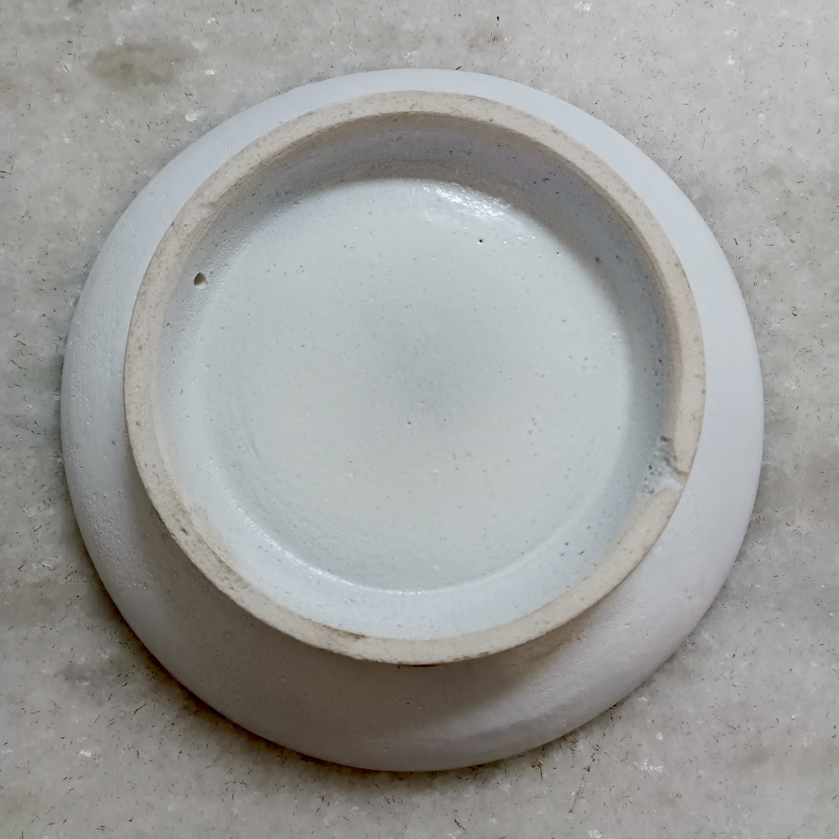Peacock Ceramic Plate - Small Blue Edge