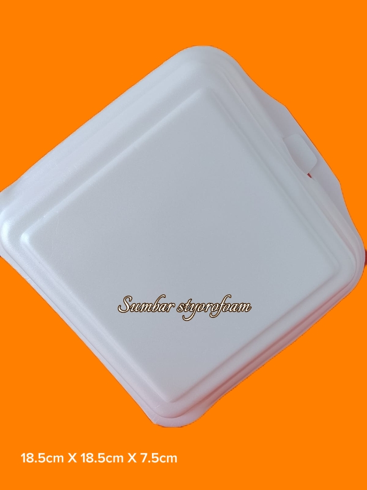 Kotak Makan Styrofoam