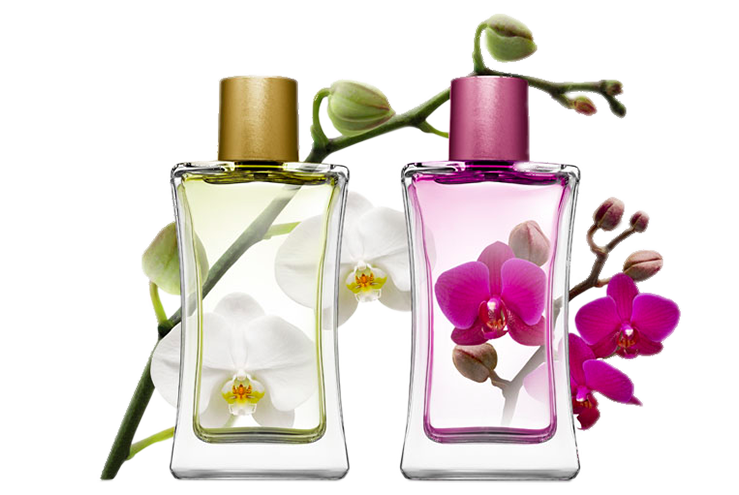 Orkide Parfüm Seti