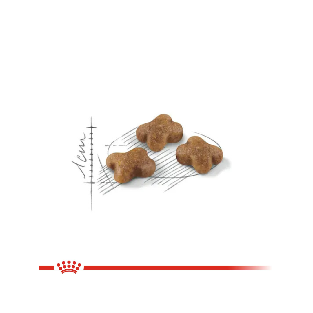 Royal Canin Kitten (2kg)
