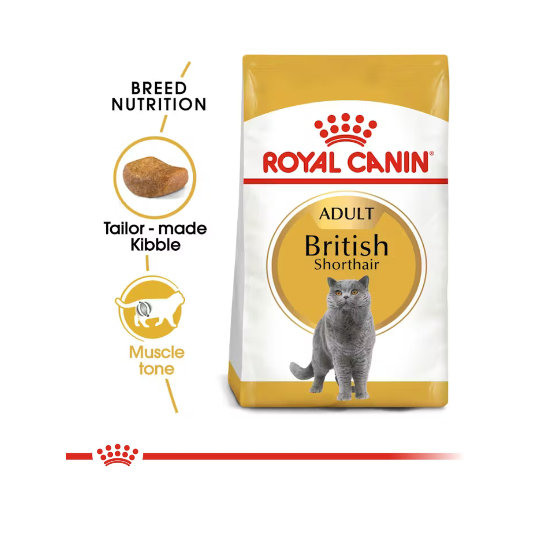 Royal Canin British Shorthair Adult (2kg)