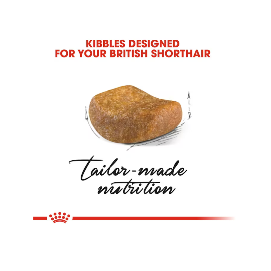 Royal Canin British Shorthair Adult (2kg)