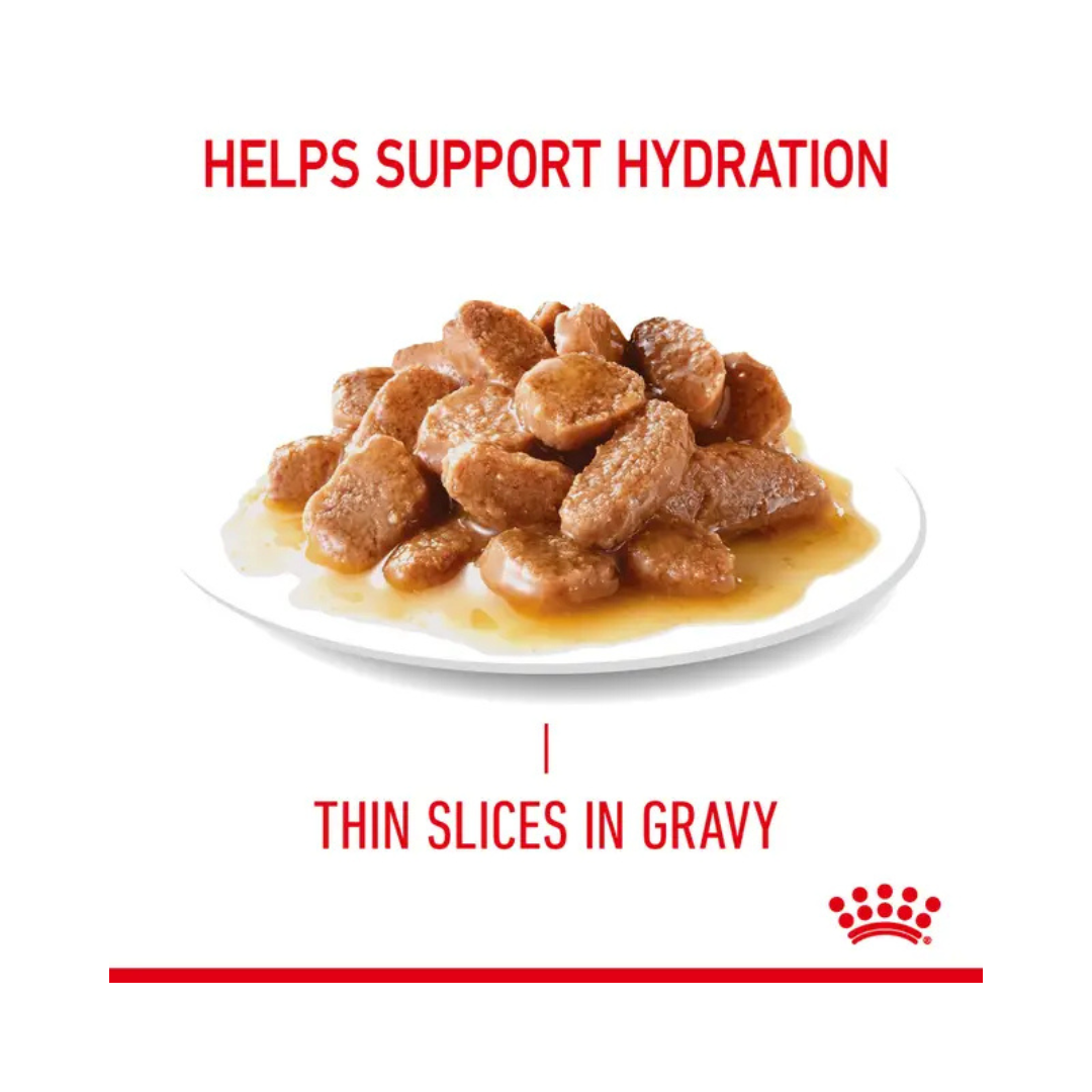 Royal Canin Hair & Skin Care Wet Pouch (85gx12)