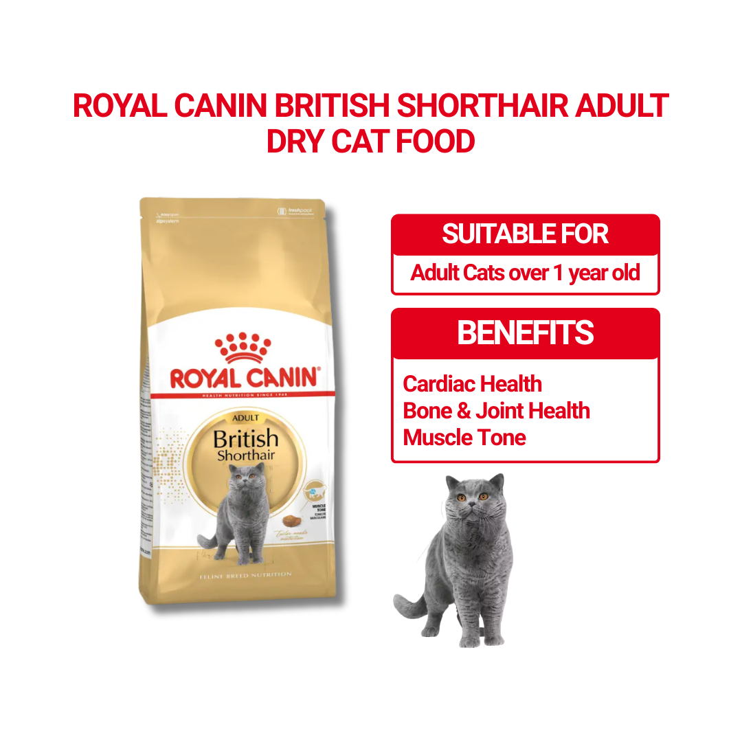 Royal Canin British Shorthair Adult (2kg)