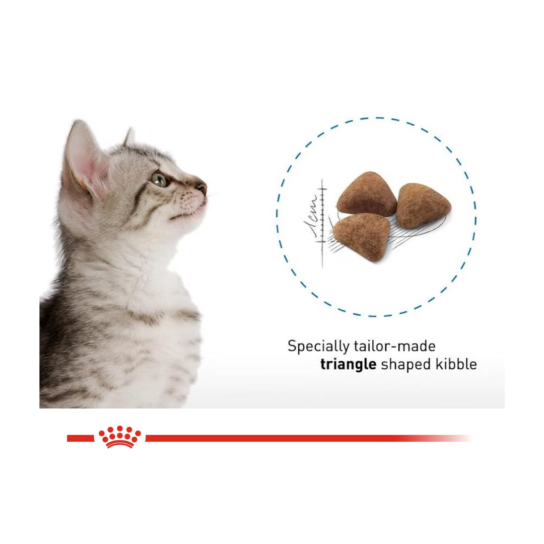 Royal Canin Home Life Indoor (2kg/4kg)