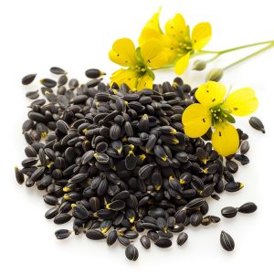 Black Mustard Seeds