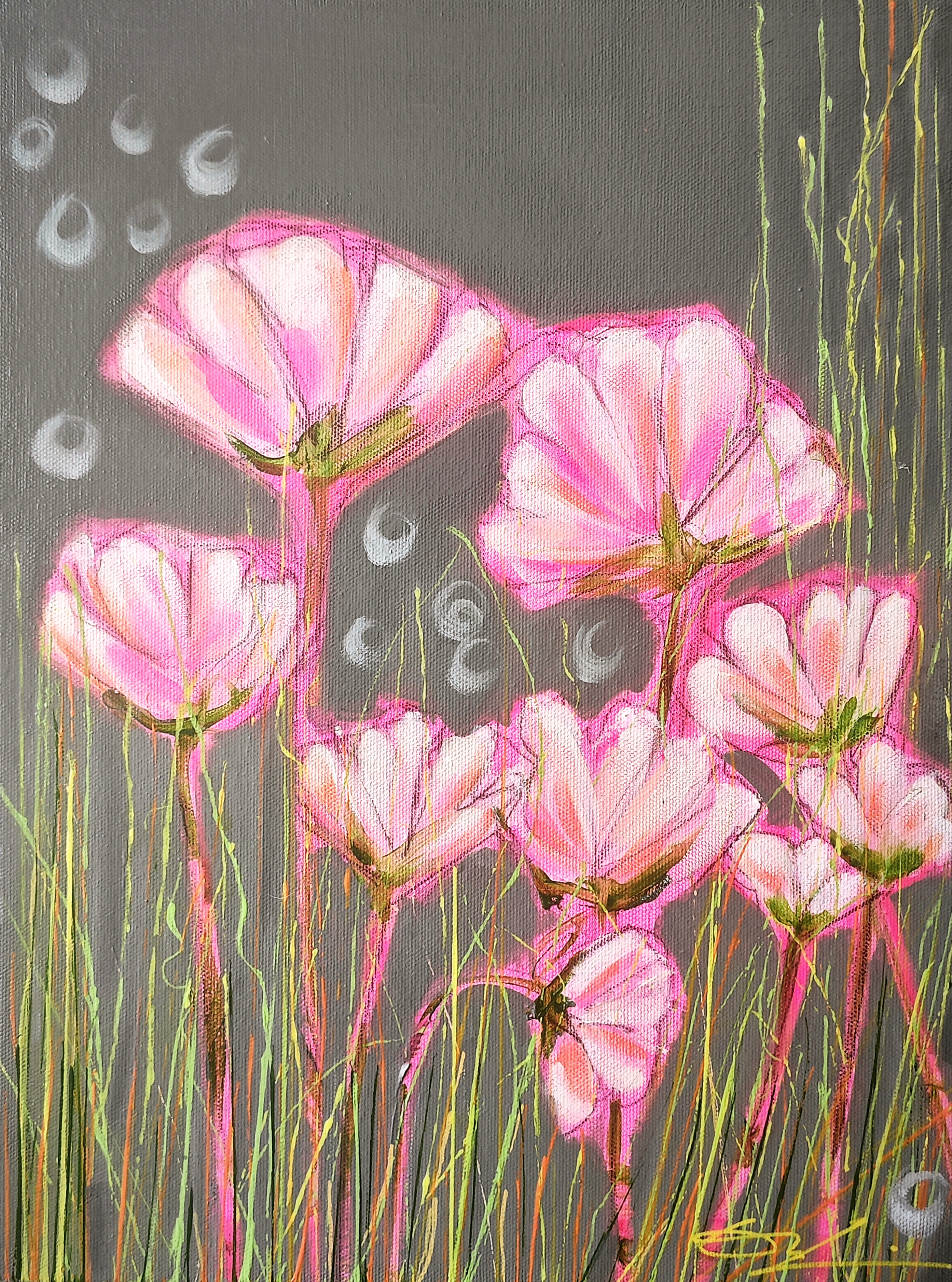 The rebellious garden!