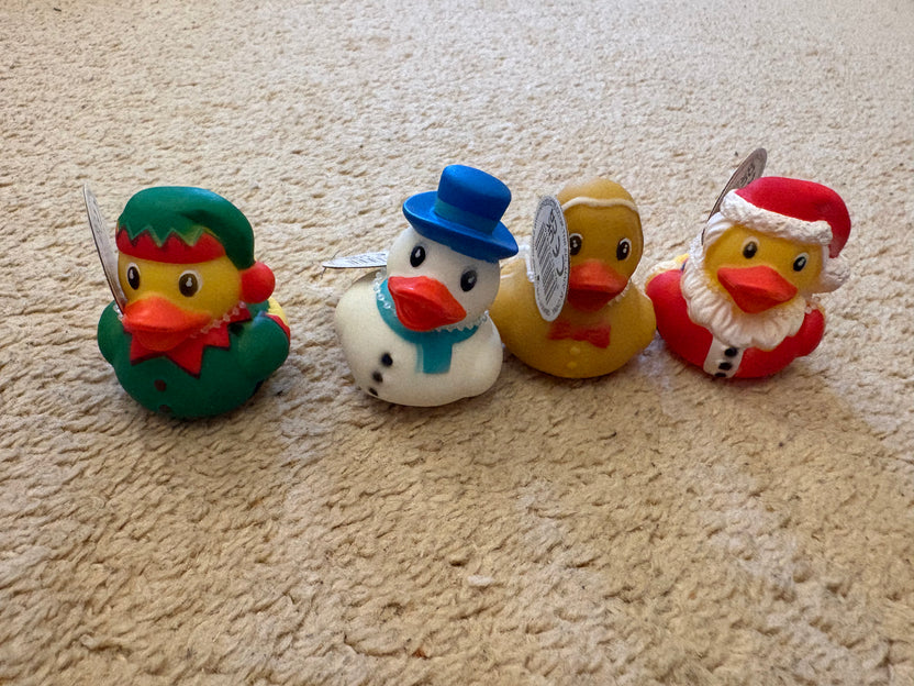 Festive Rubber Duck Set