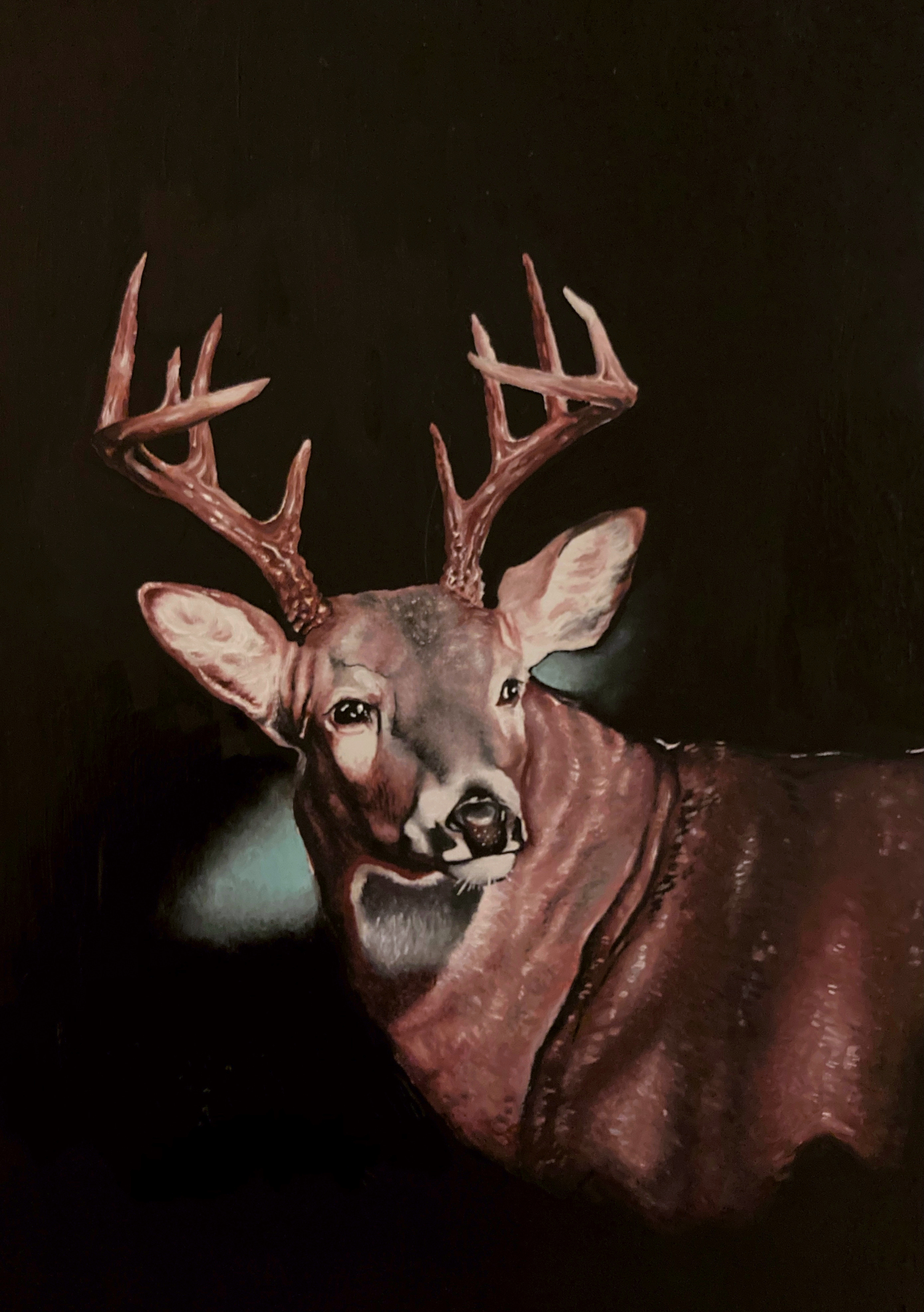 Texas Stag Original Oil Painting