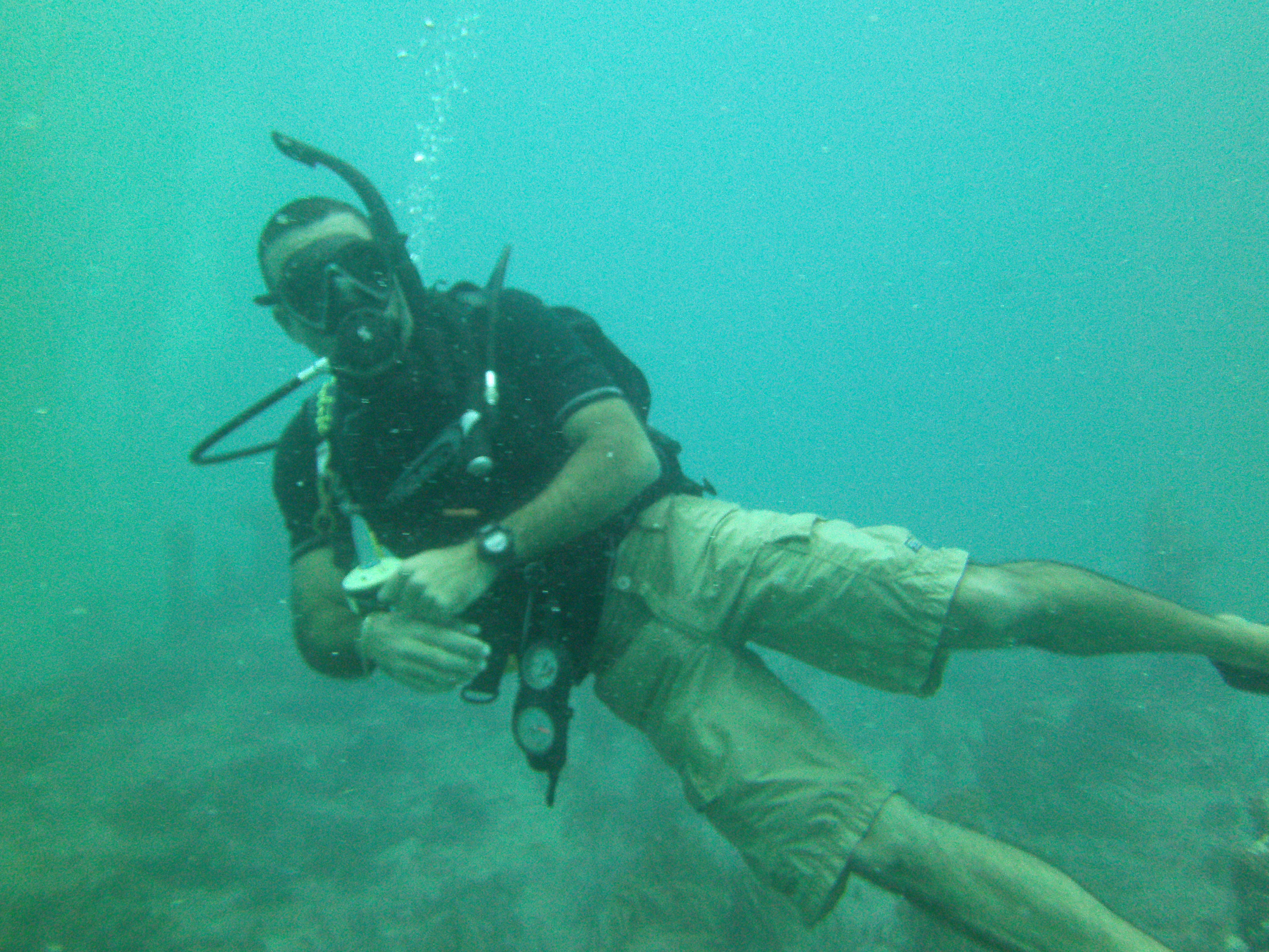 Discover Scuba Diving.