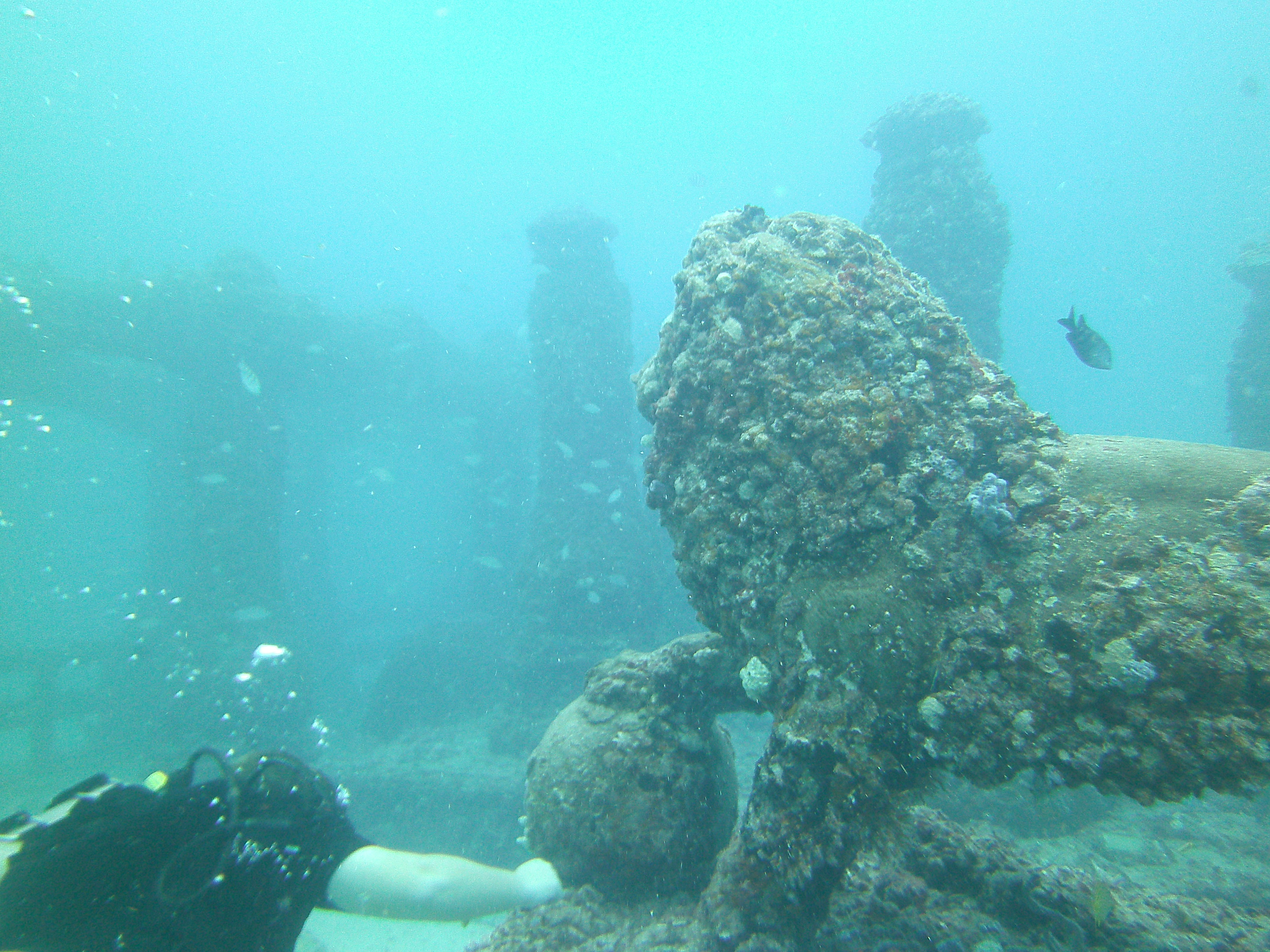 Open Water Diver Course