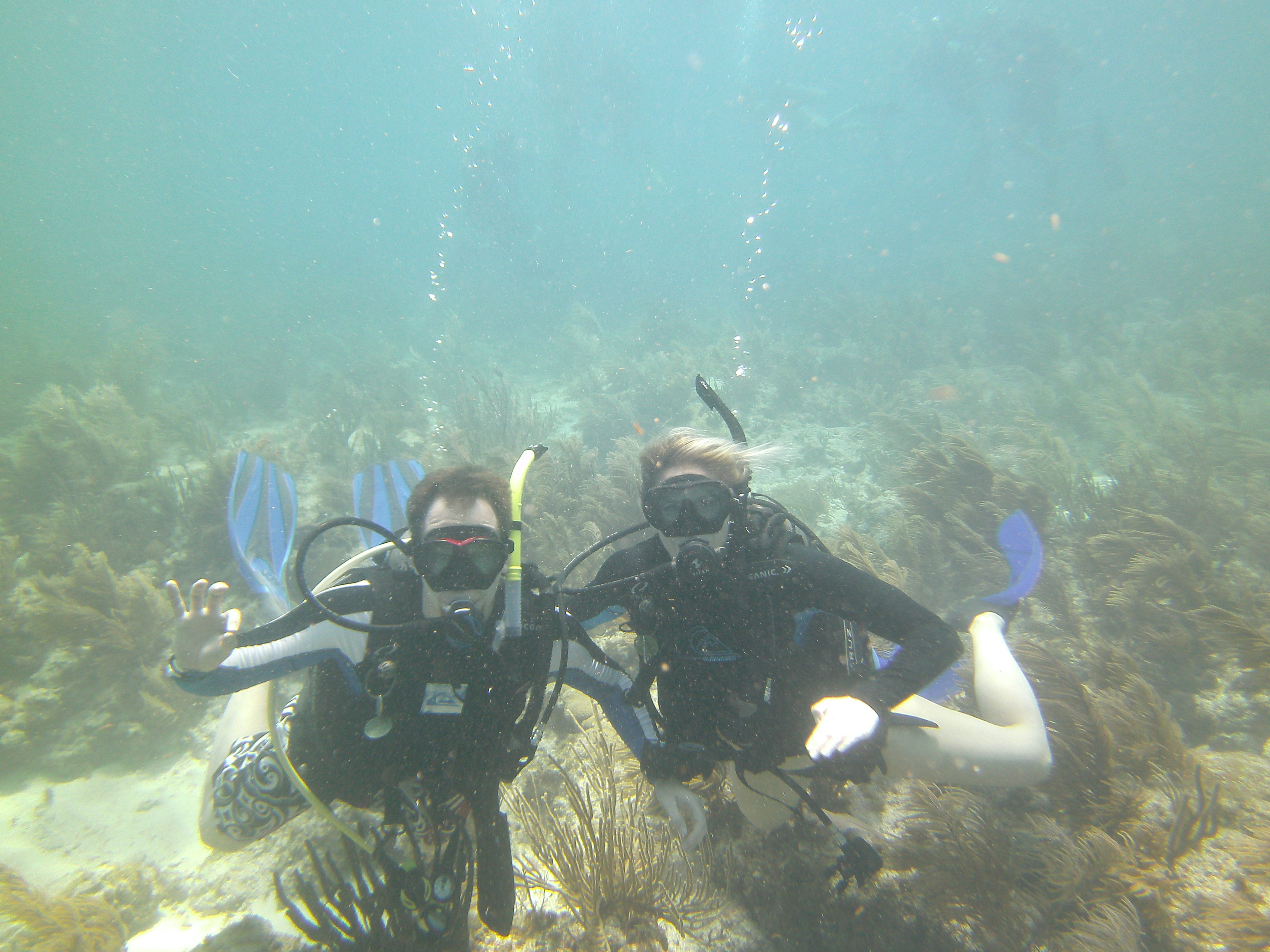 Open Water Diver Course