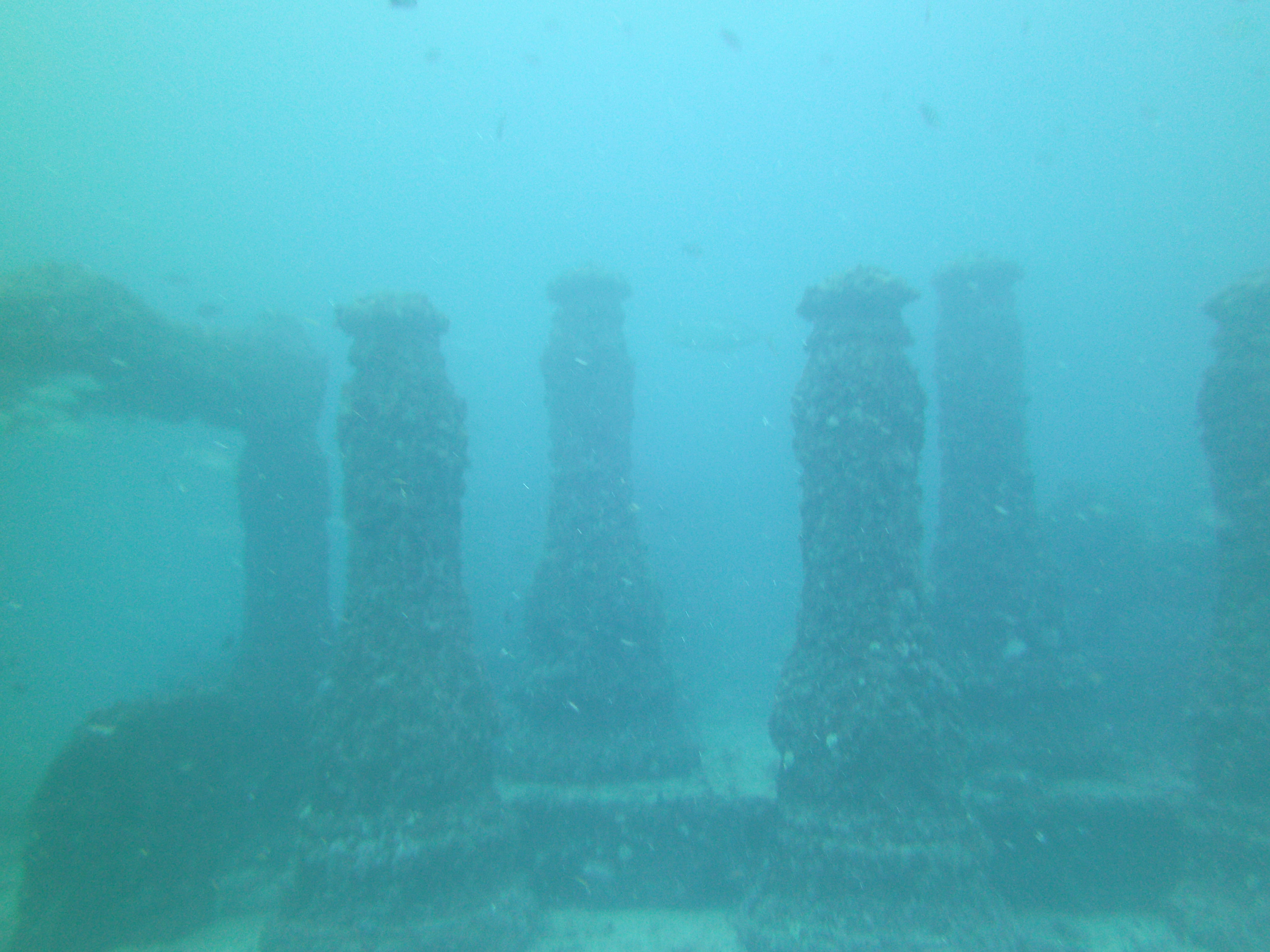 Open Water Diver Course