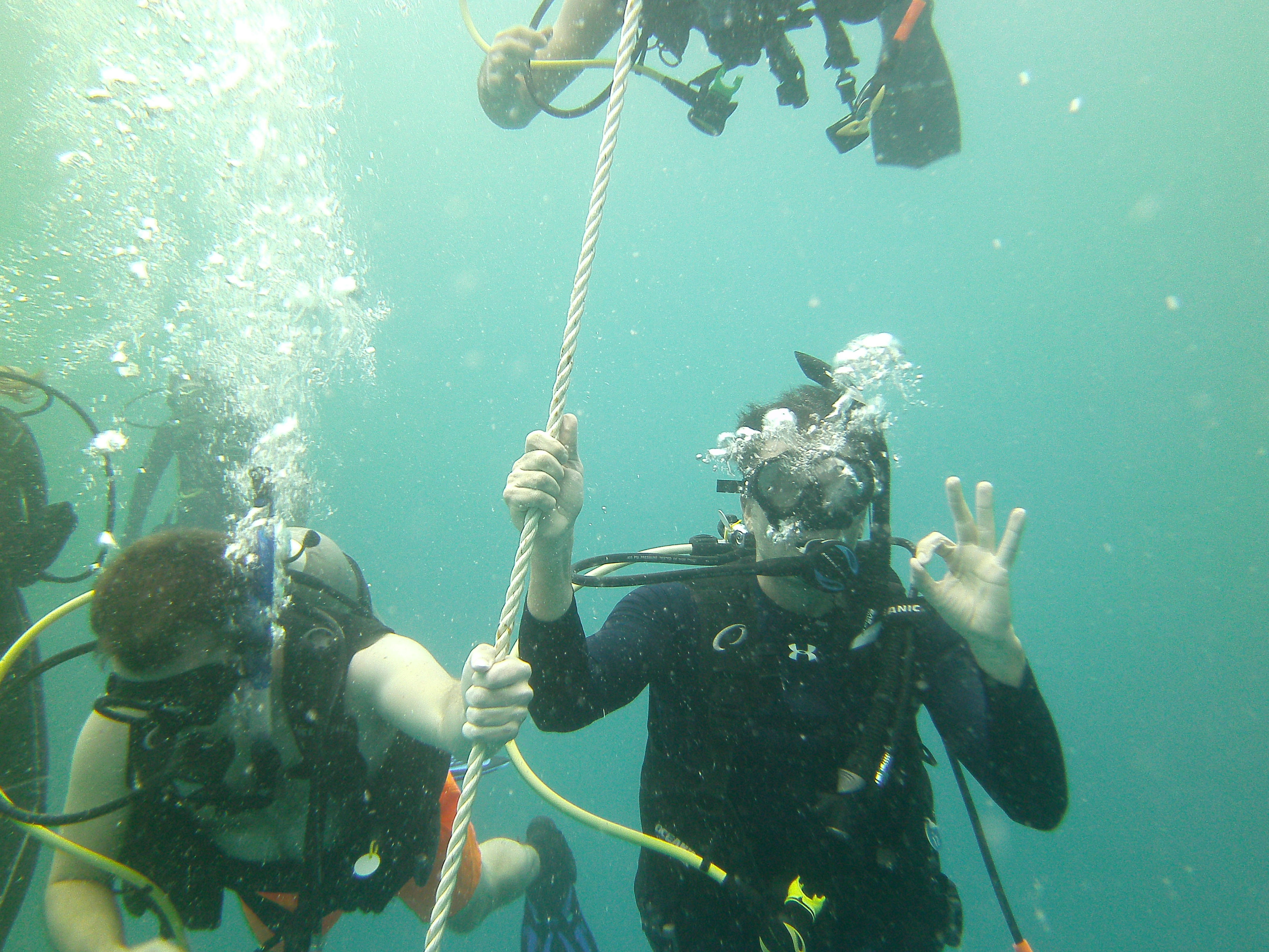 Discover Scuba Diving.