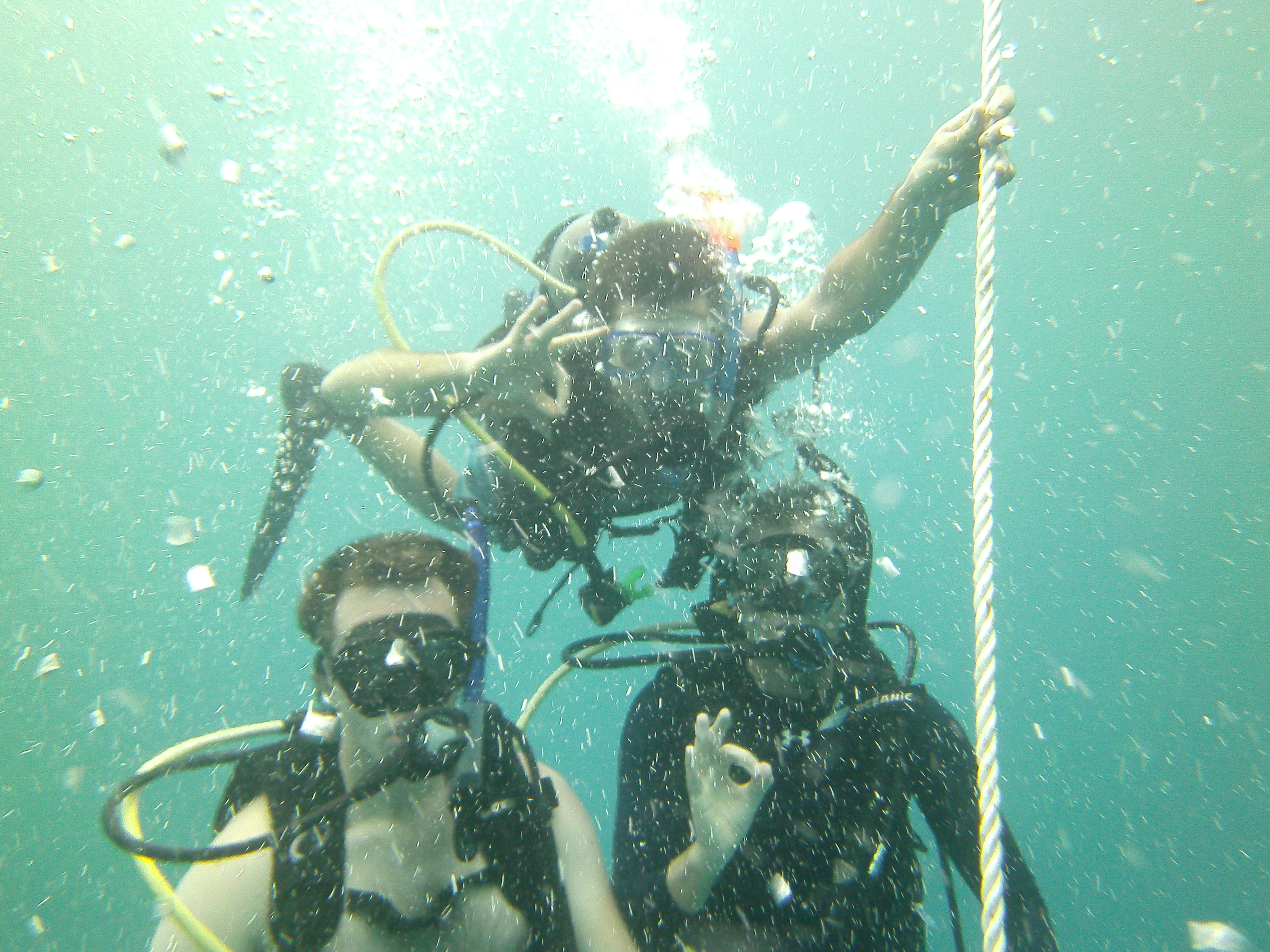 Discover Scuba Diving.