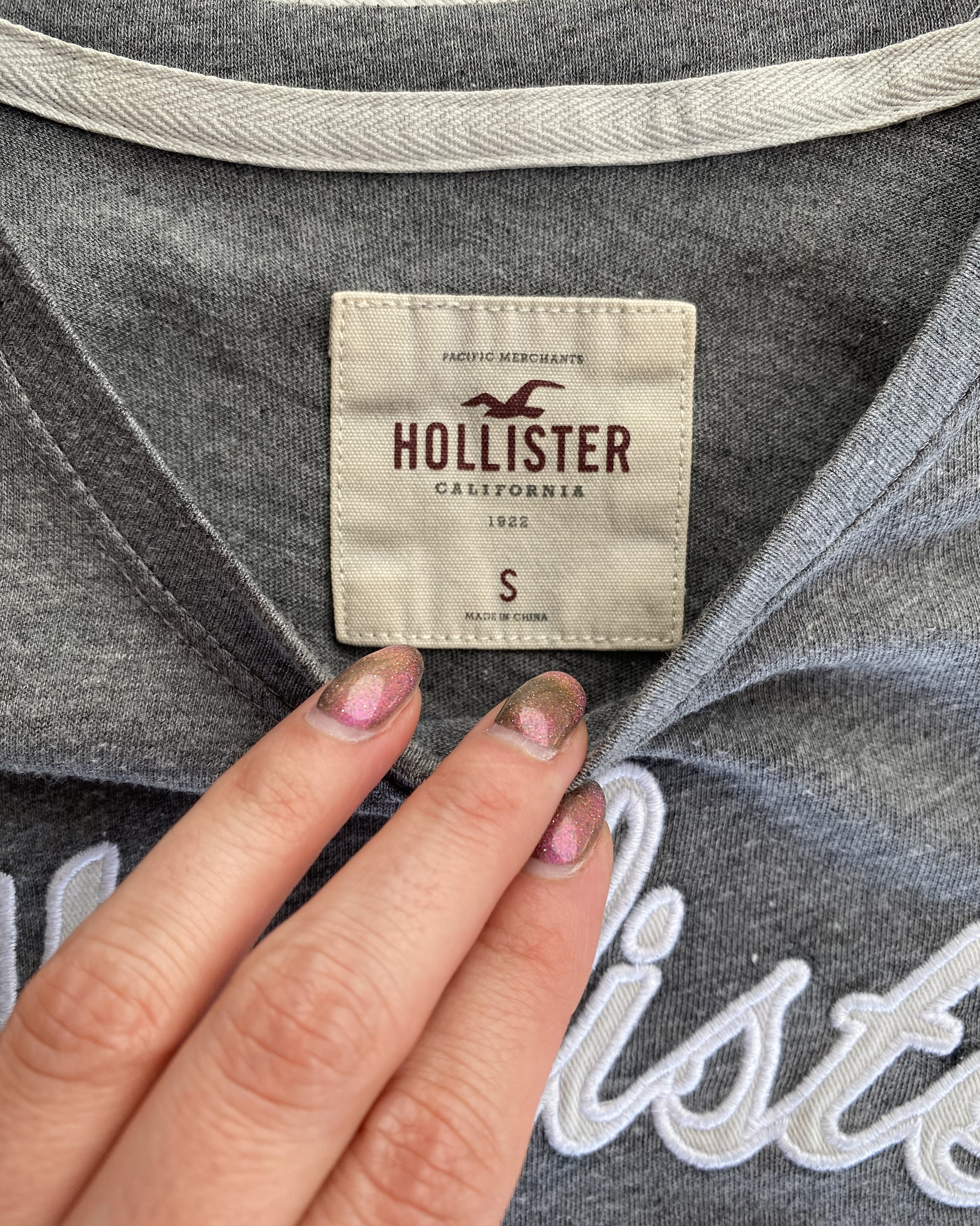 Remera Hollister