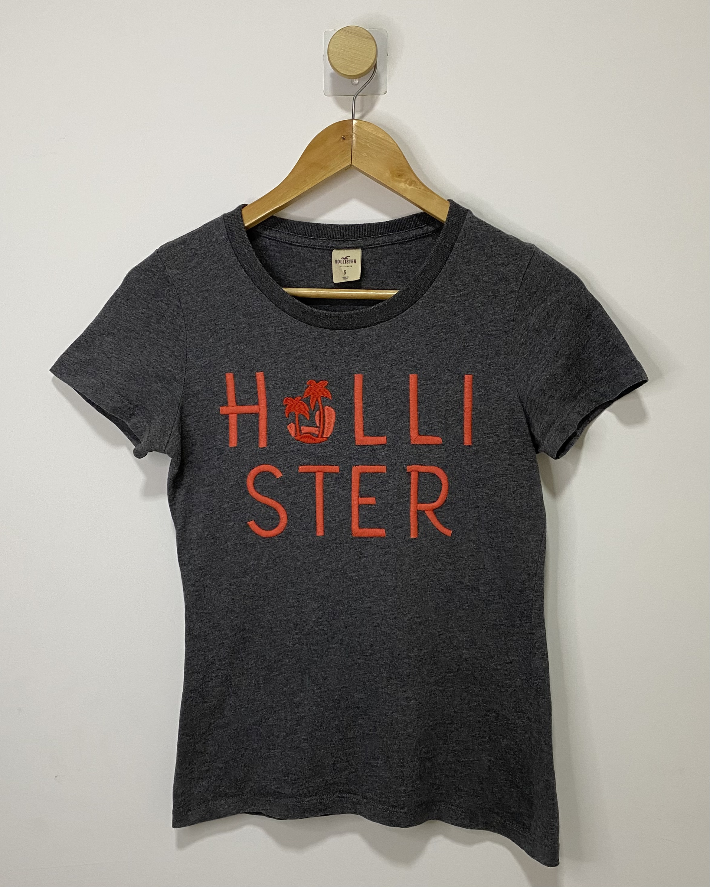 Remera Hollister
