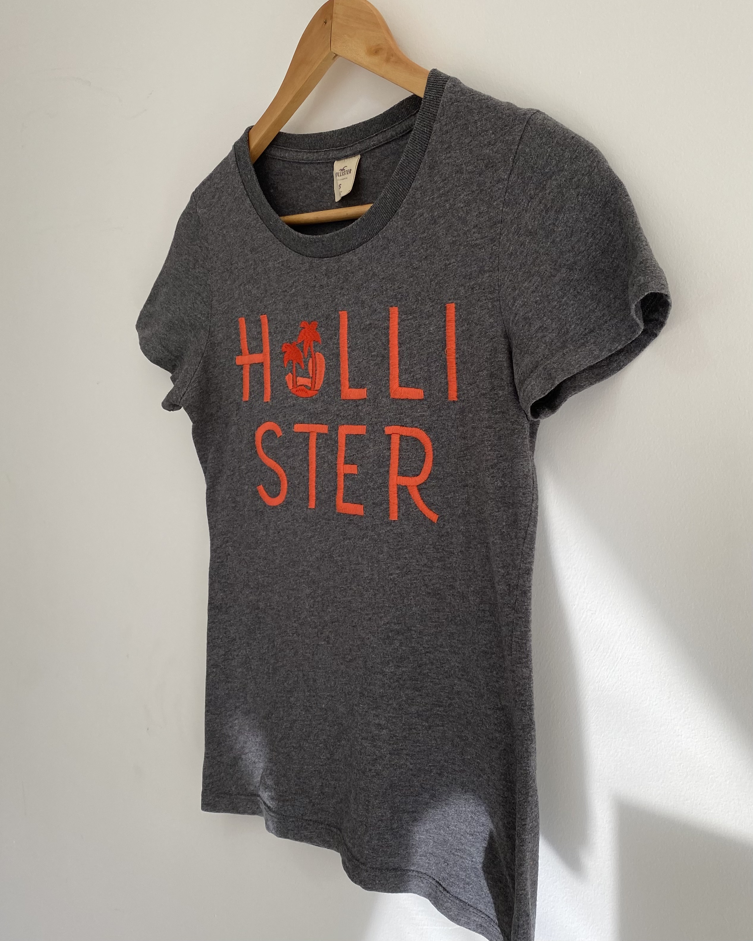 Remera Hollister