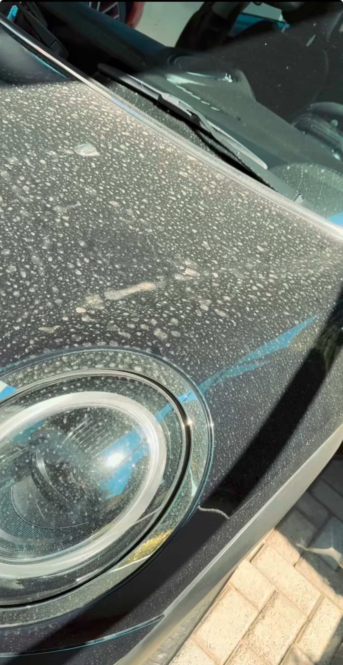 Detailing Nivel 1:  Gloss Enhancement