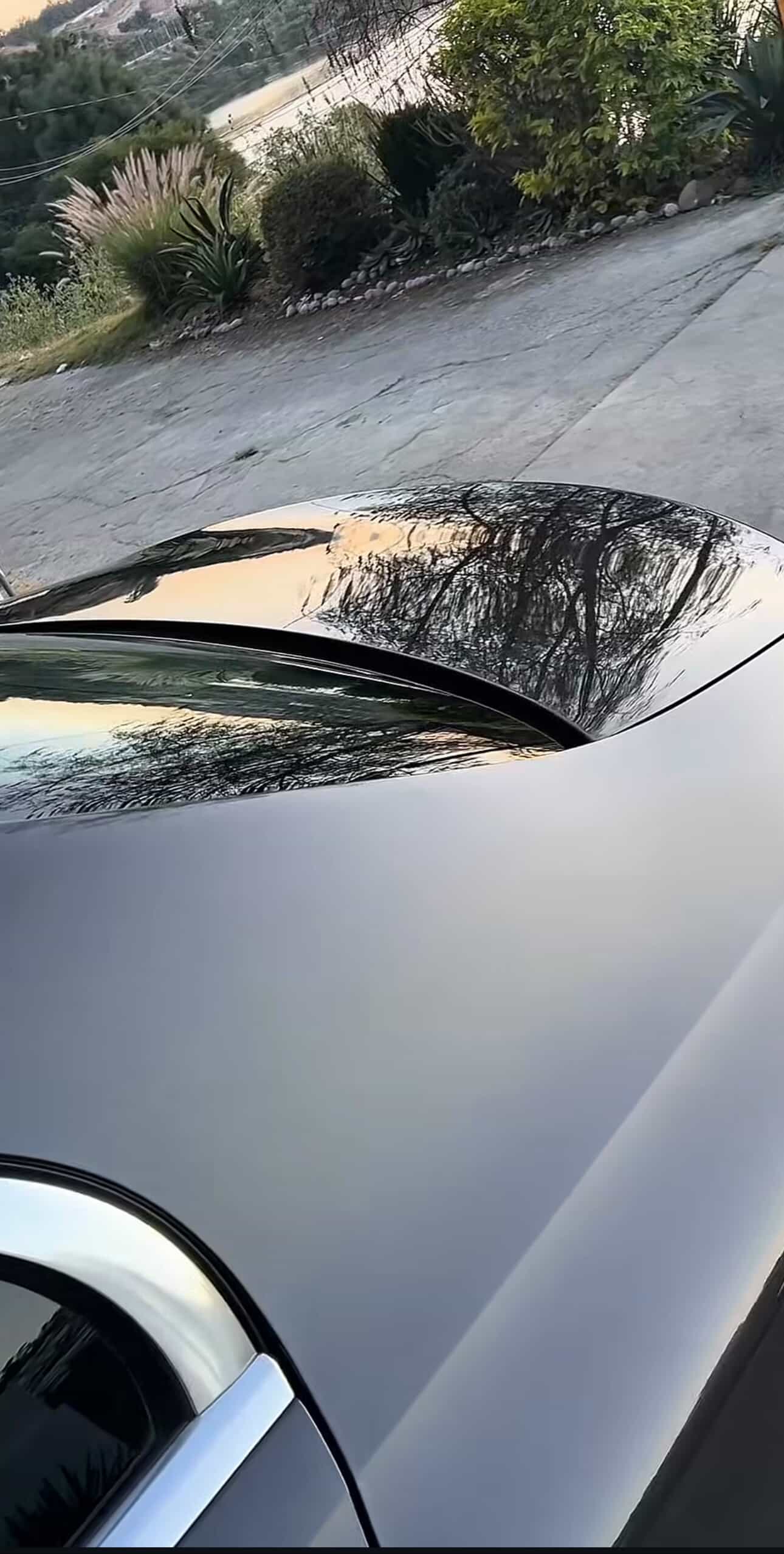 Detailing Nivel 2:  Full Correction & Clarity