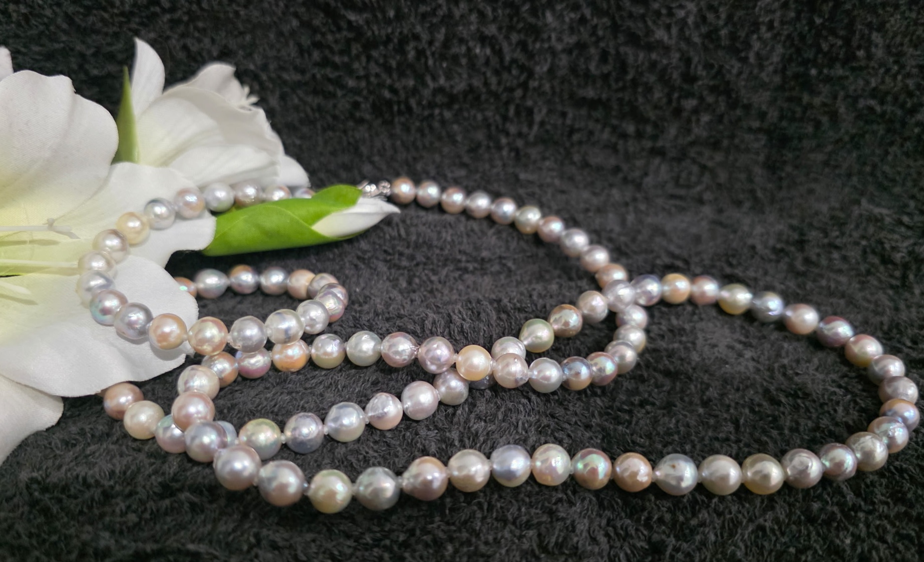 Multi Color Akoya pearl