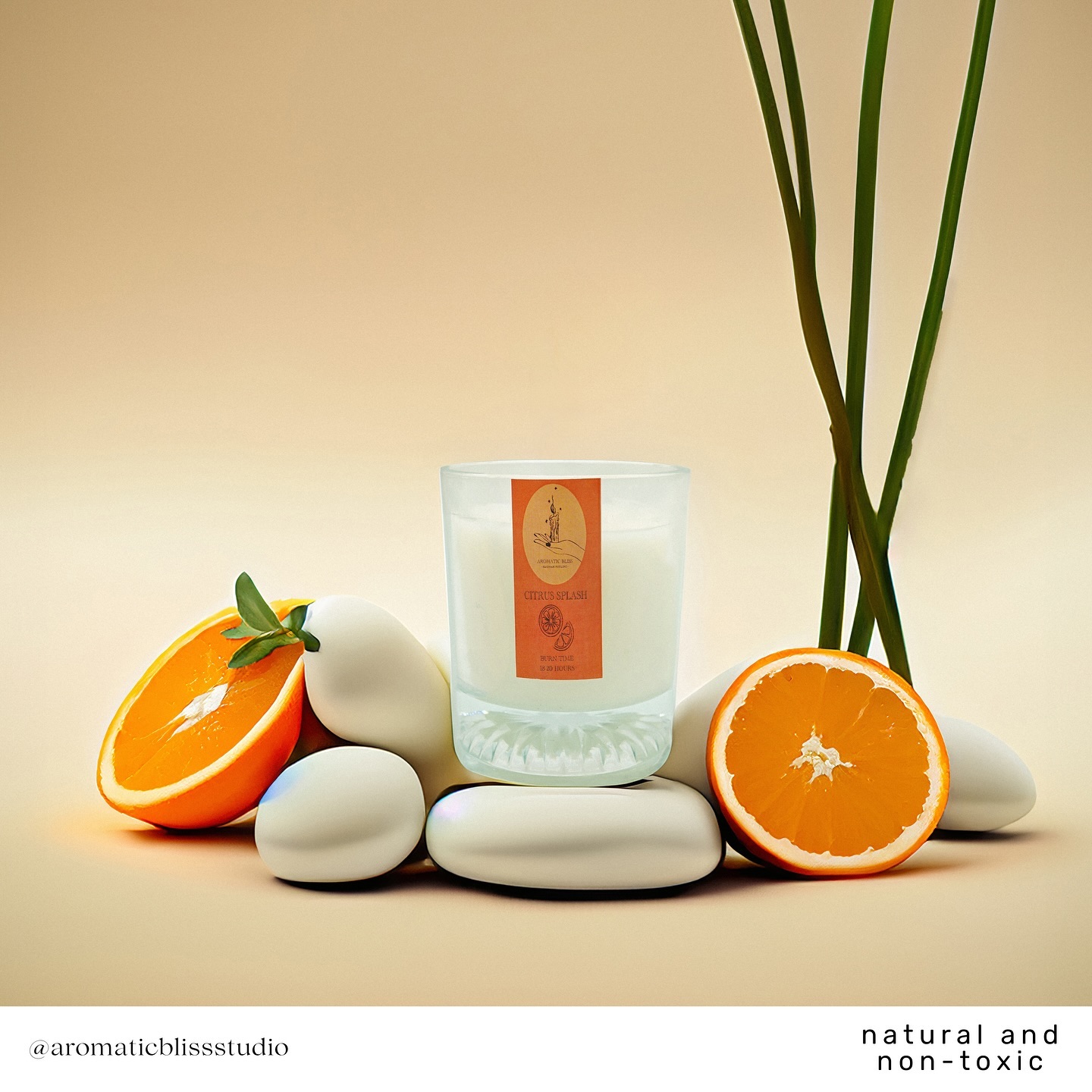Citrus Splash Scented Candle