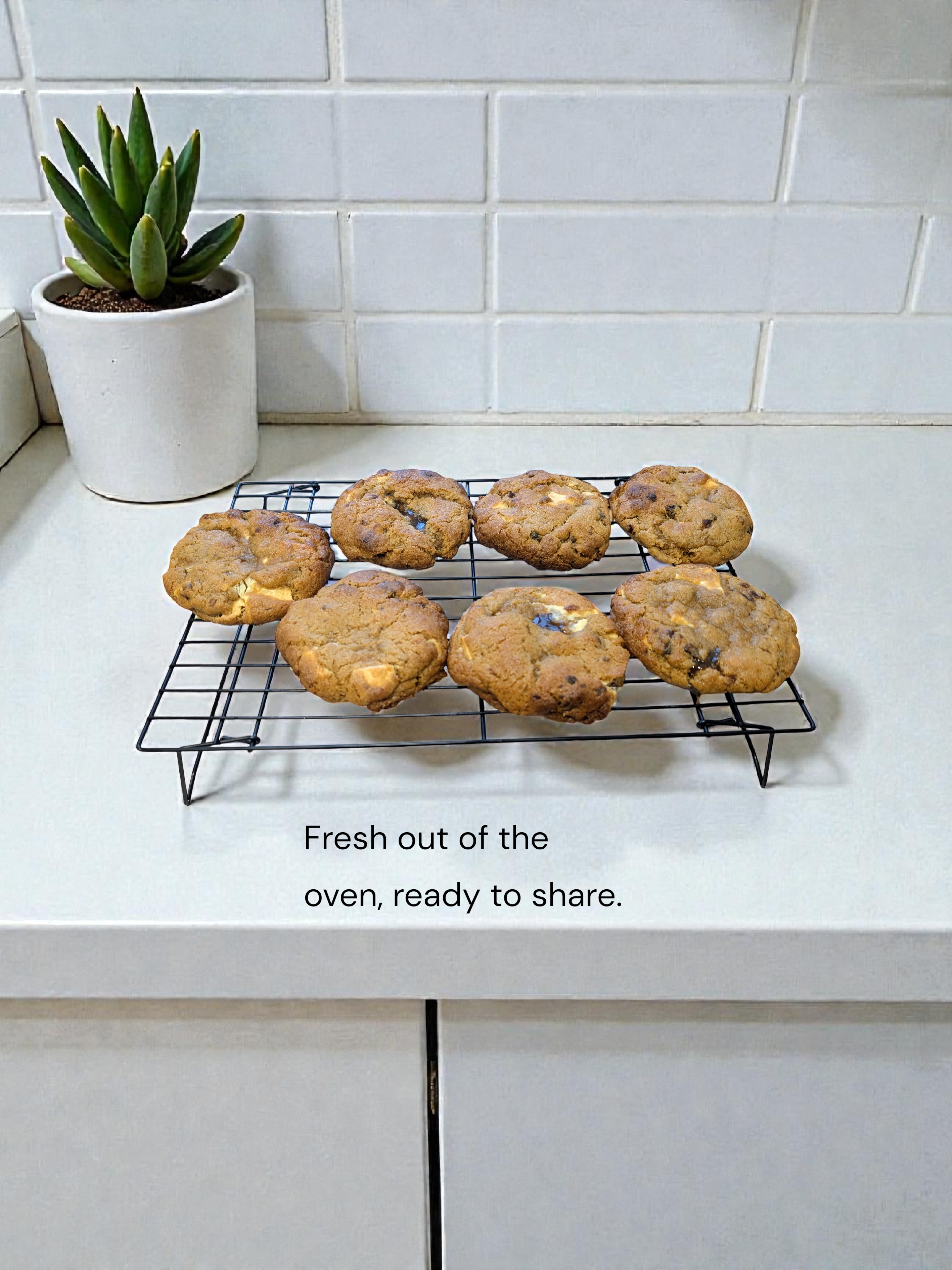 Box of 4 - Assorted New York Style Cookies