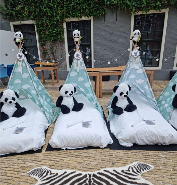 Panda party