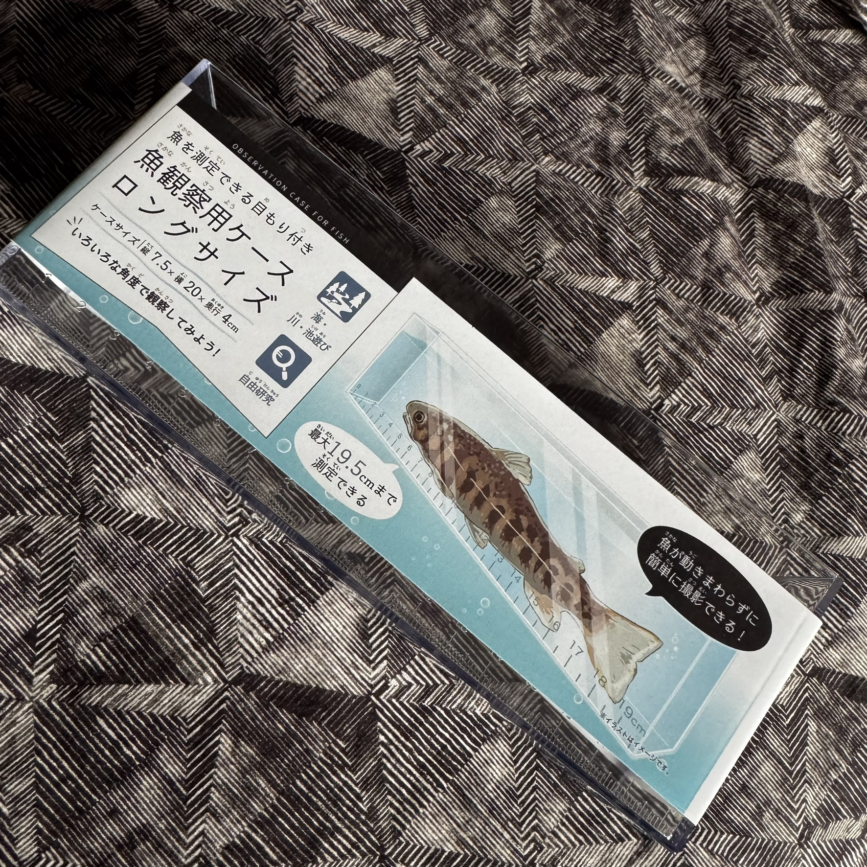 Medaka Fish Observation Box / Case / Tank 