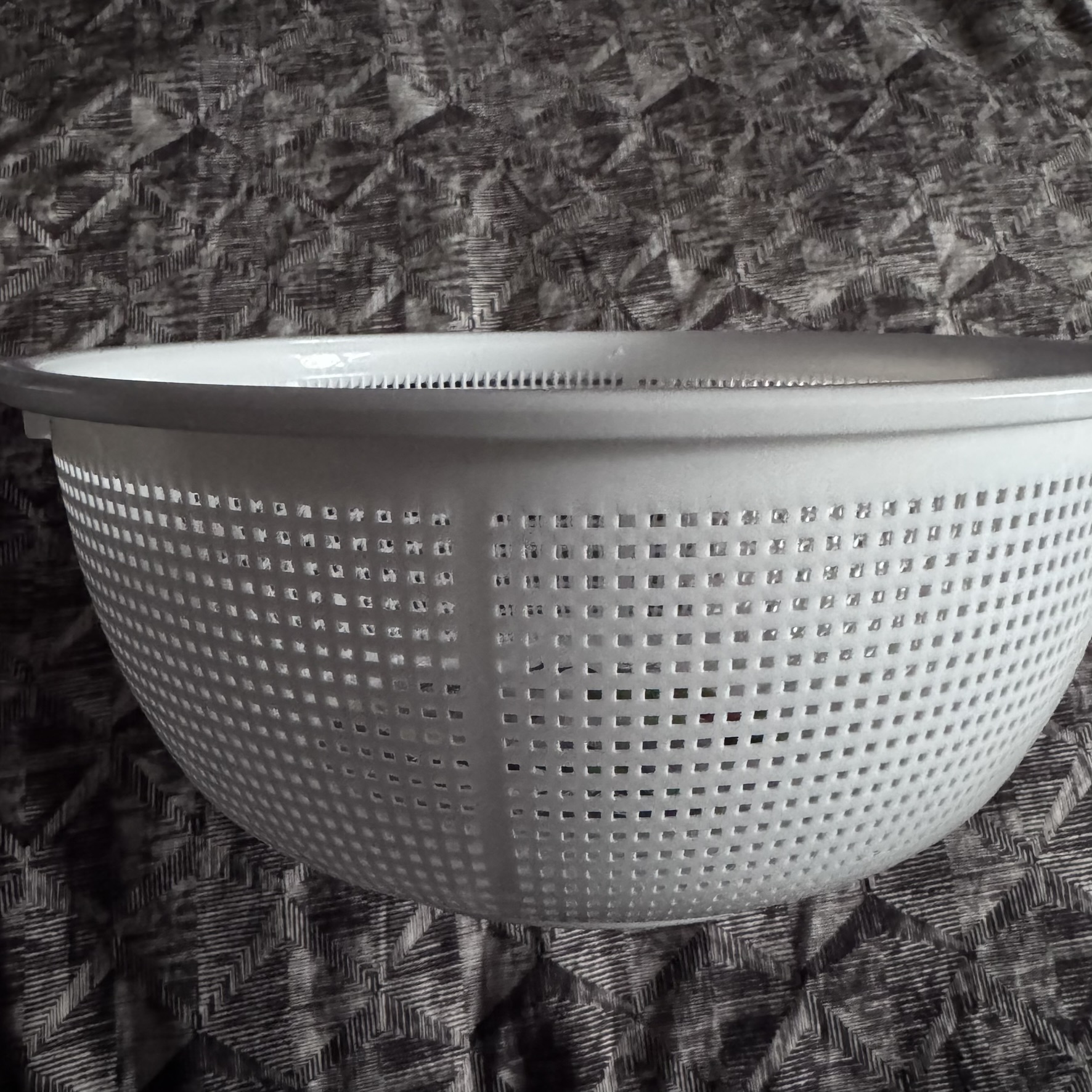 Medaka Isolation Floating Plastic Basket