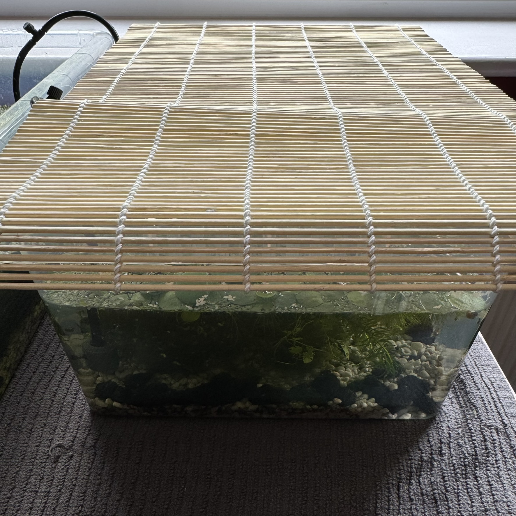 Bamboo Roll / Mat / Screen 45cm x 30cm