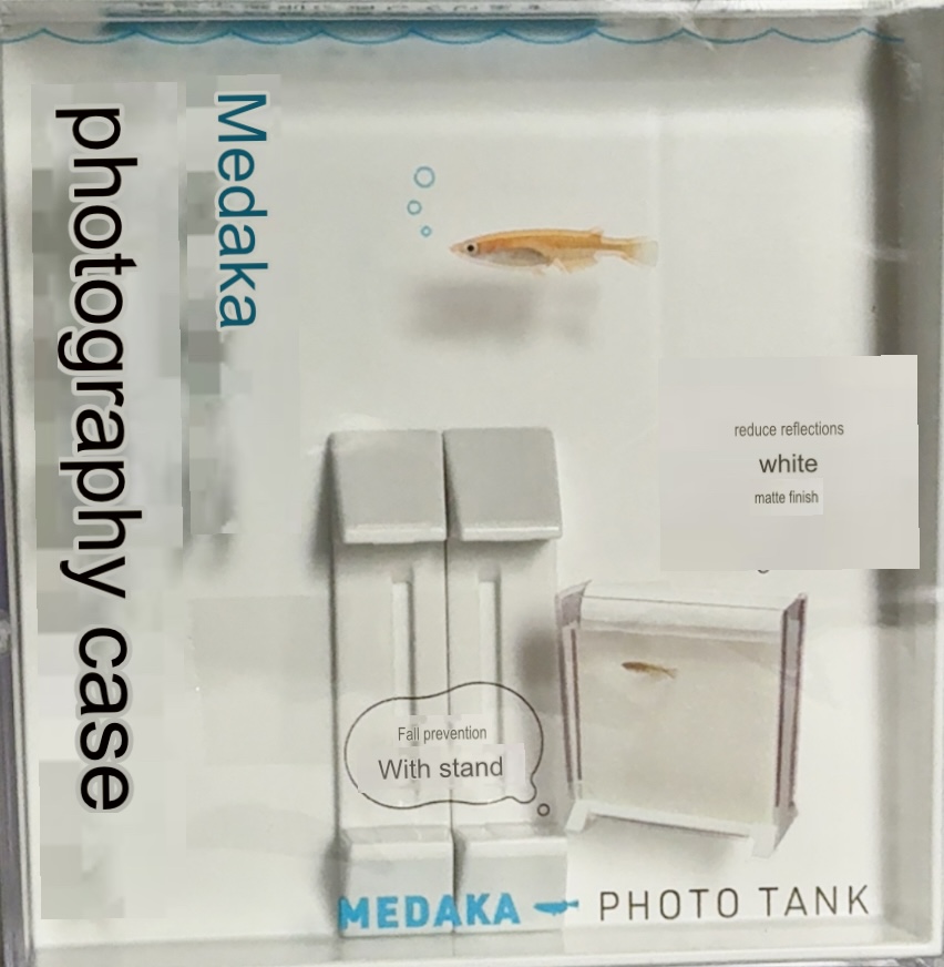 Medaka Square Viewing & Photo Case / Box 