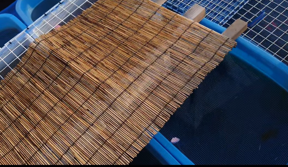 Japanese Reed Roll / Mat / Screen 112cm x 45cm