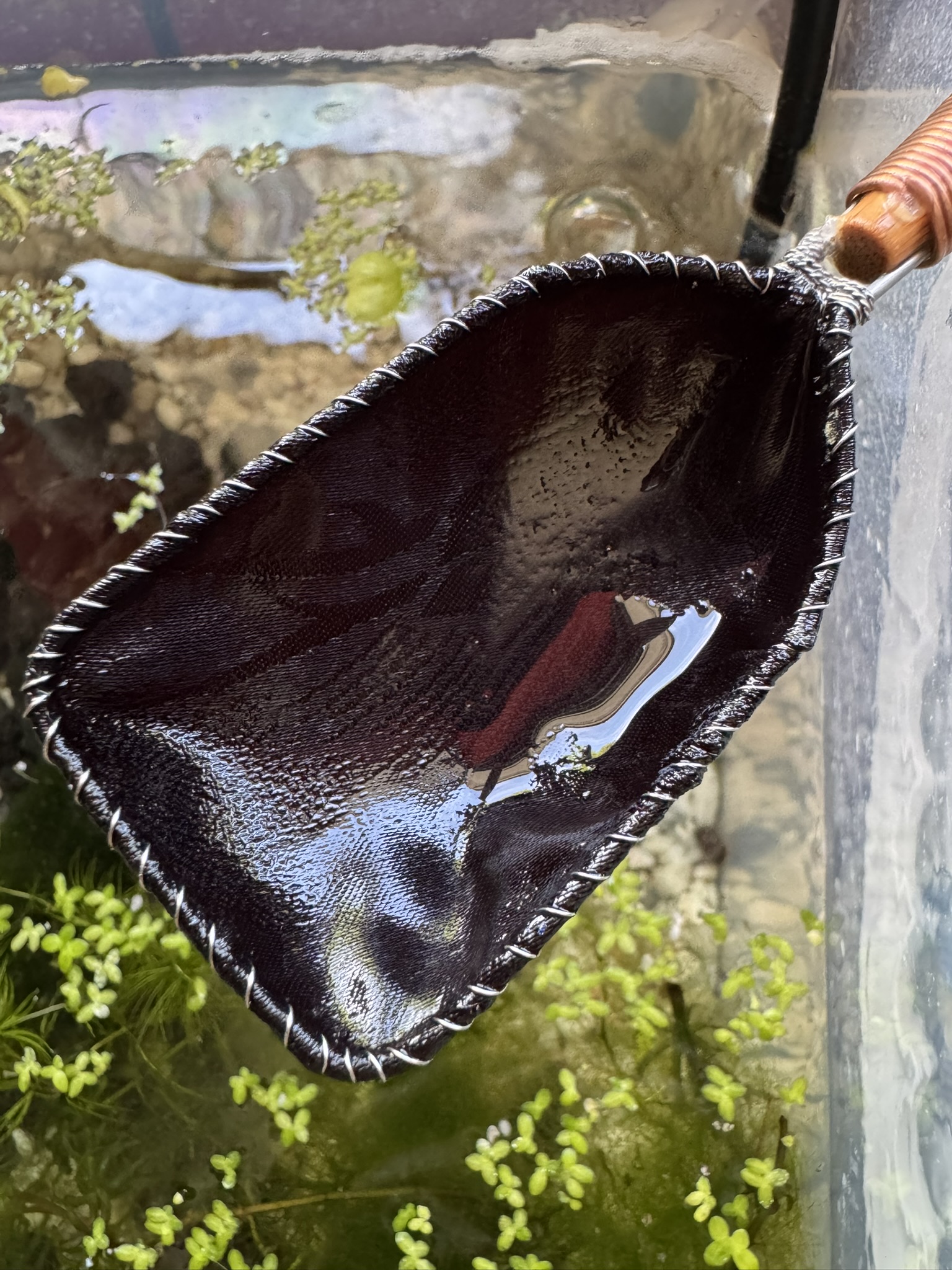 "Tame" Series Small Square 3cm (for Fry) Tamo Net