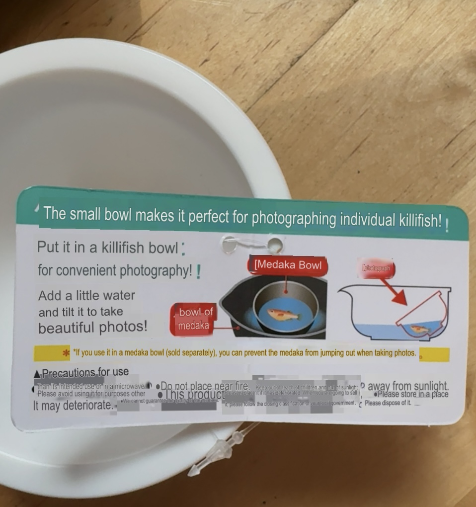 Small Medaka Sorting / Photo bowl