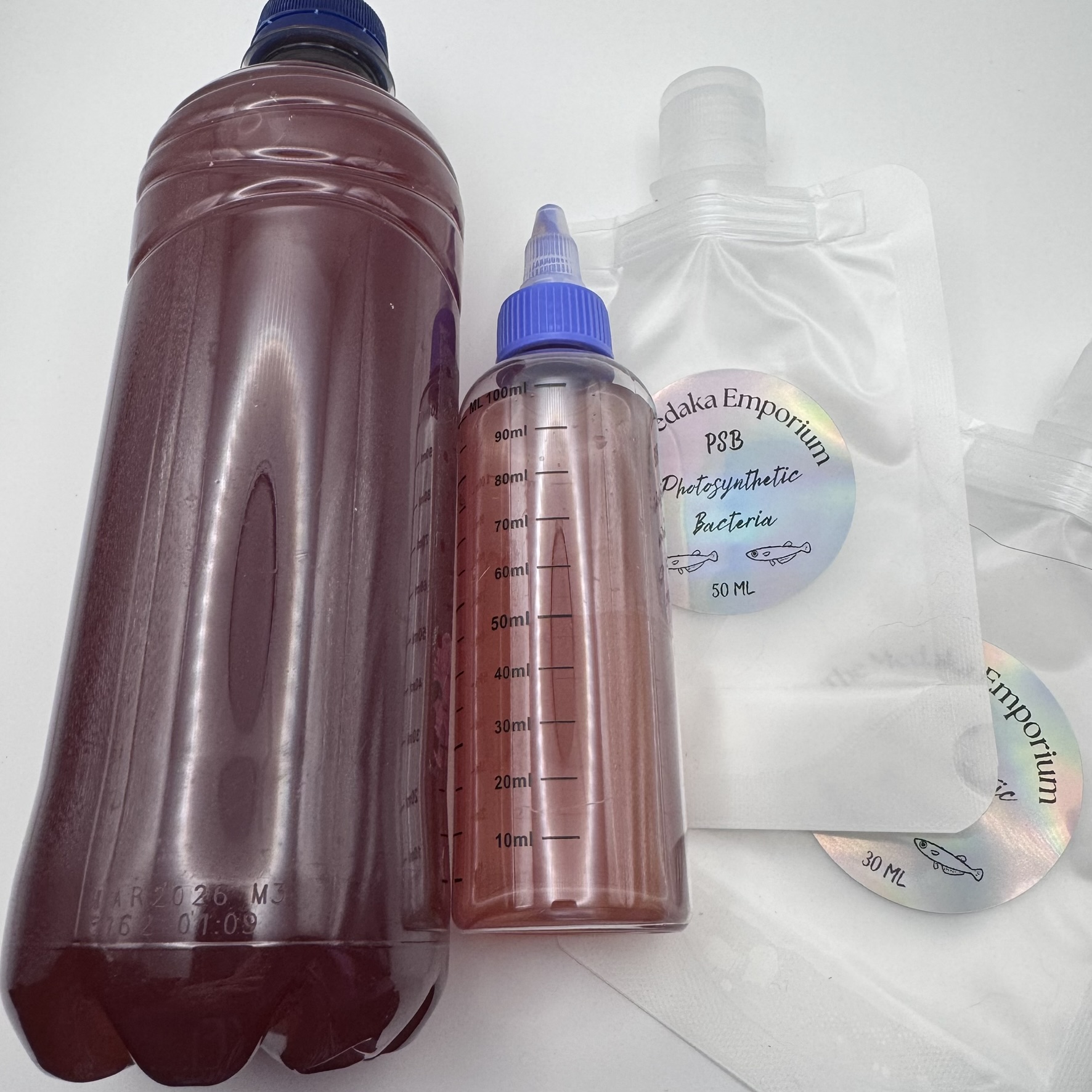 Photosynthetic Bacteria PSB 