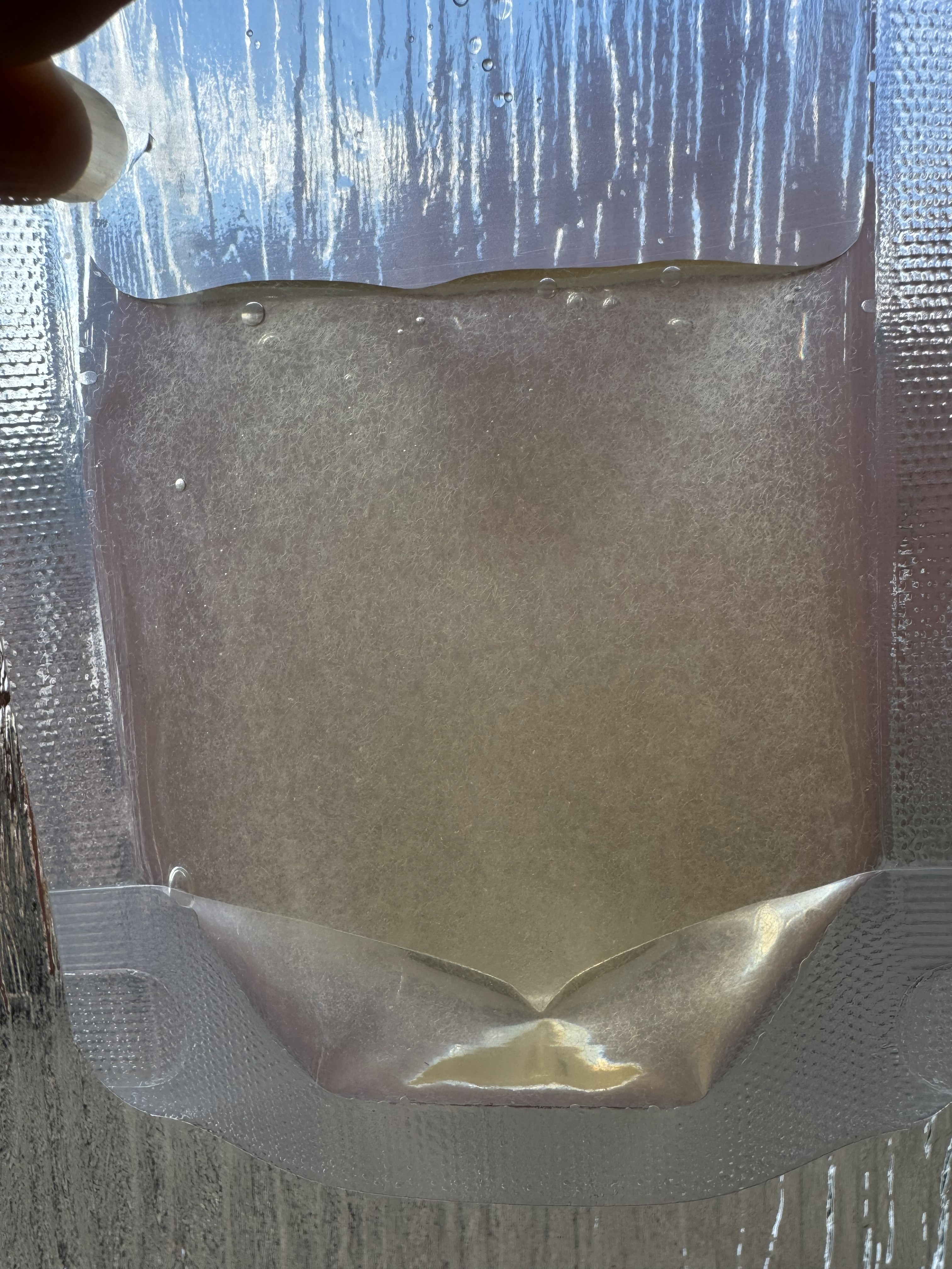 Vinegar Eel Culture 50ml