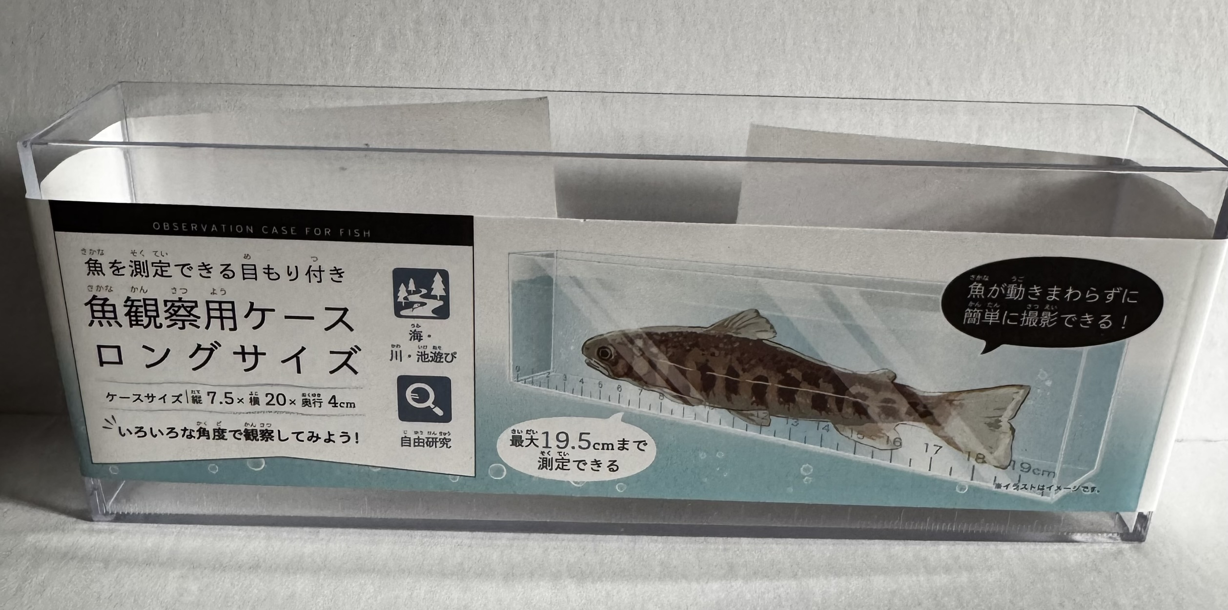 Medaka Fish Observation Box / Case / Tank 