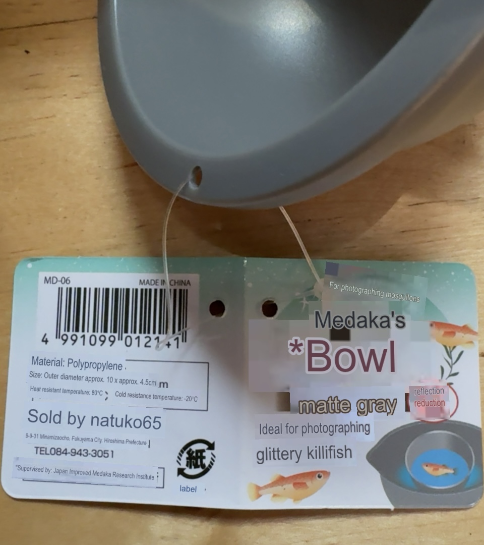 Small Medaka Sorting / Photo bowl