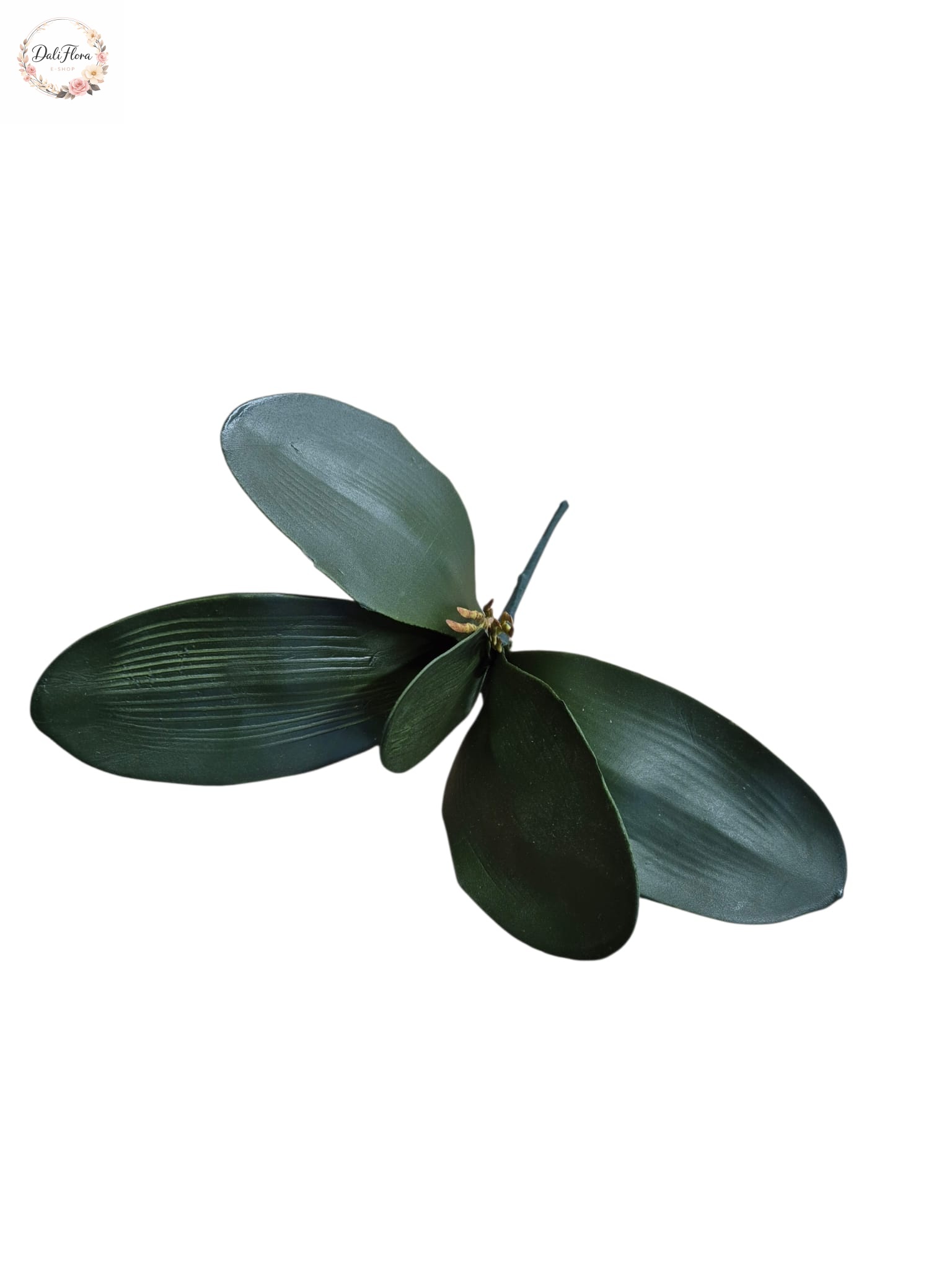 Dirbtiniai orchidėjų lapai