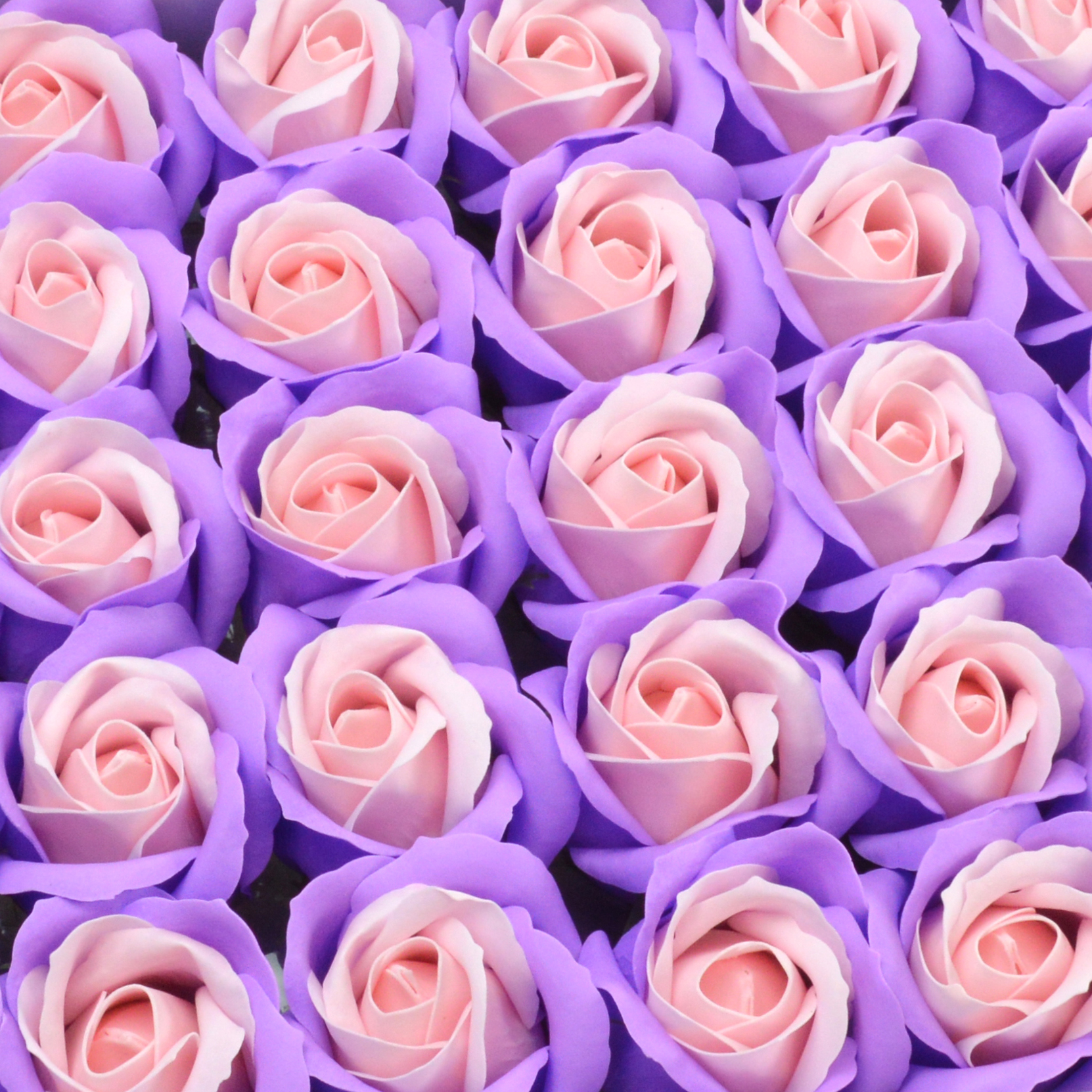 Muilo rožės dėžutėje (dvisplavės)