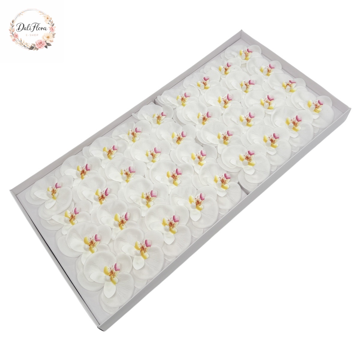 Muilo orchidėjos dėžutėje (pastelinė)