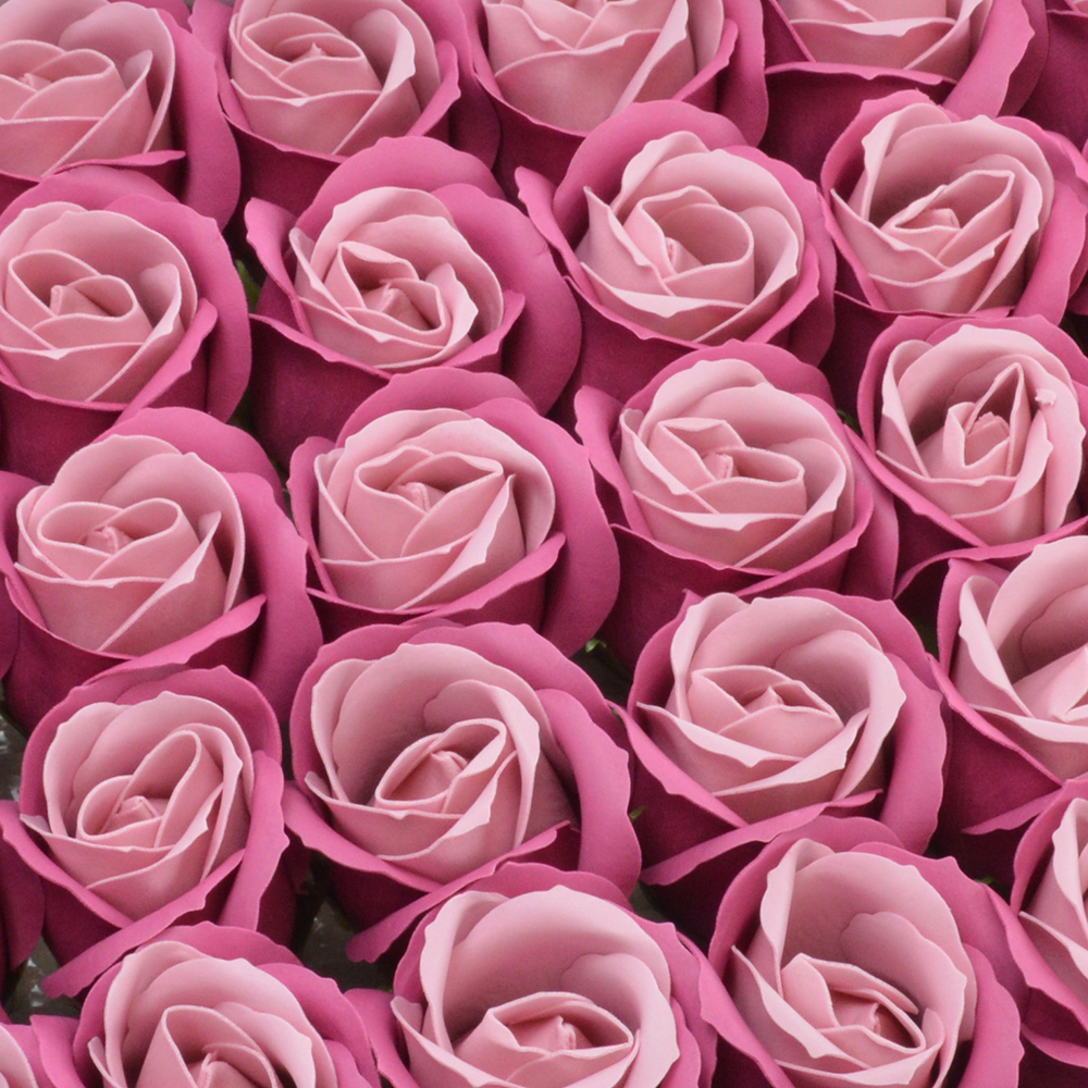 Muilo rožės dėžutėje (dvispalvės)