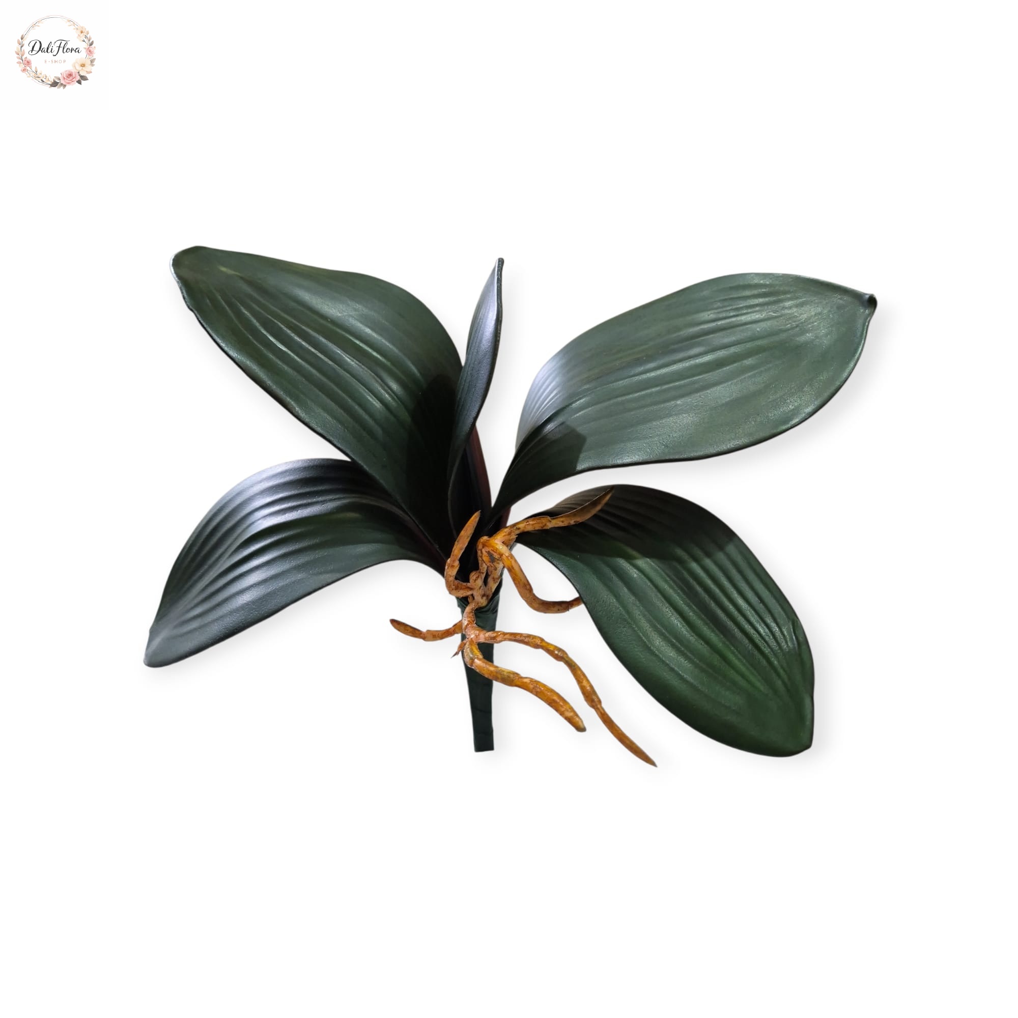 Dirbtiniai orchidėjų lapai