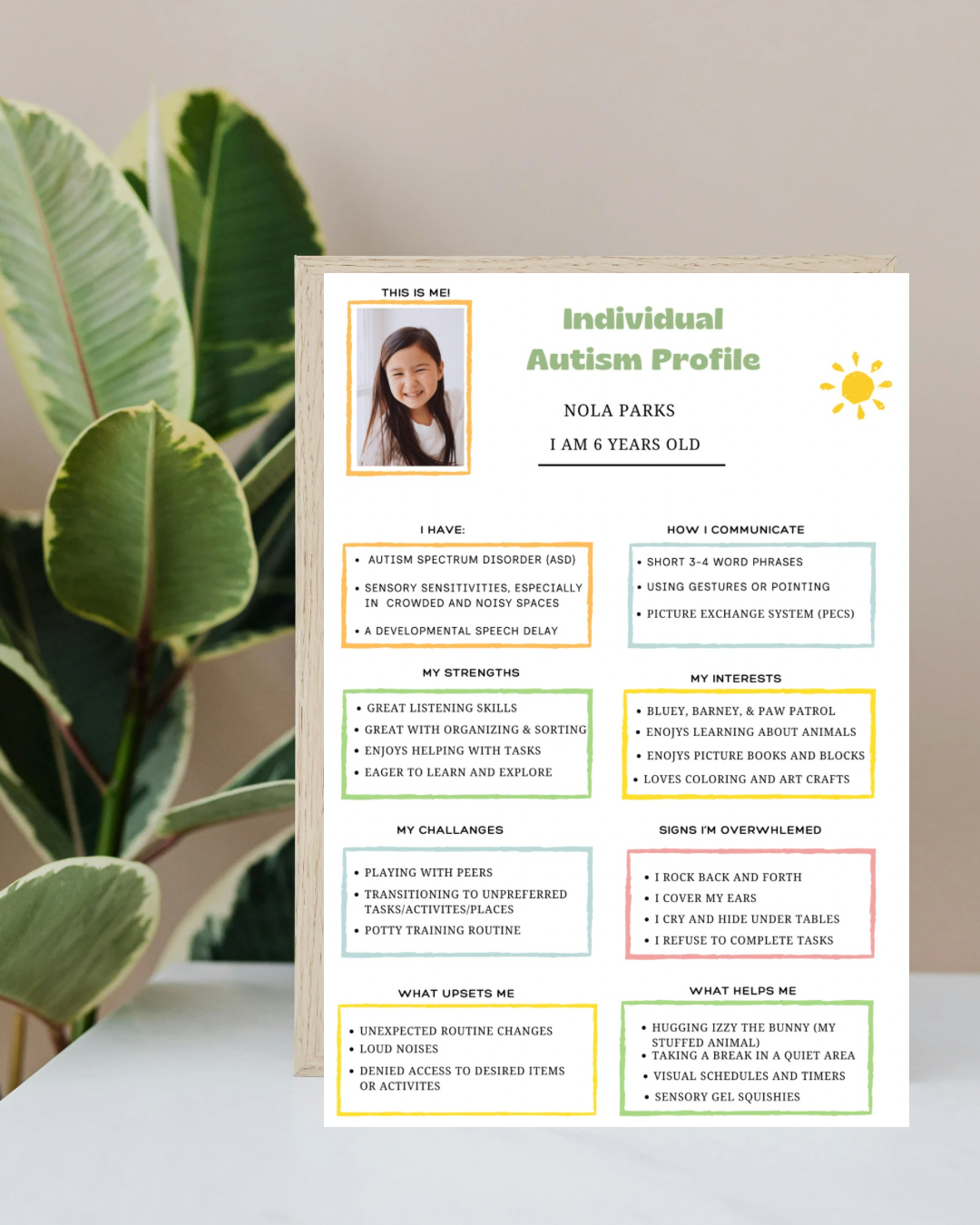 Individual Autism Profile