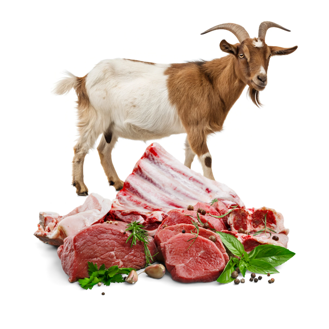 Fresh Goat Meat Cuts