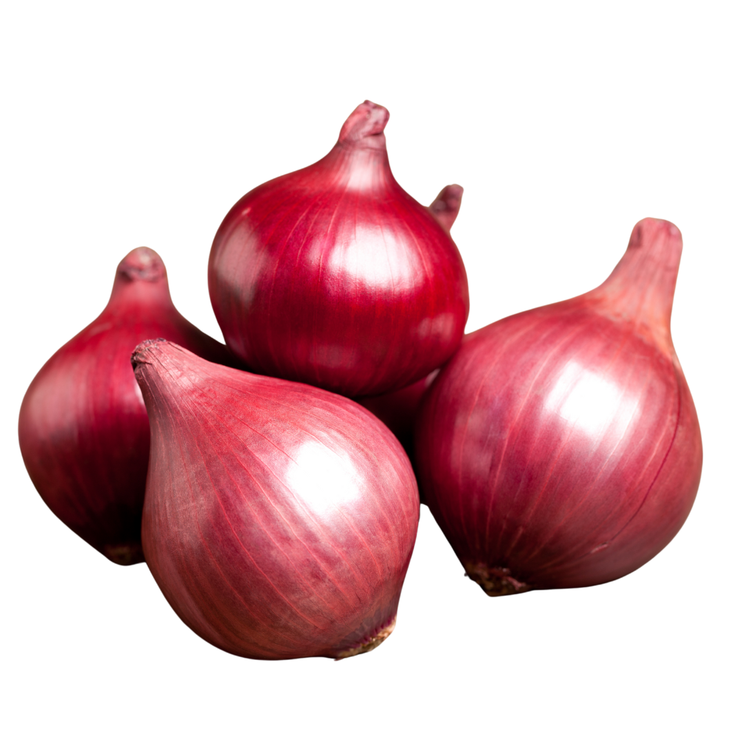Fresh Red Onions