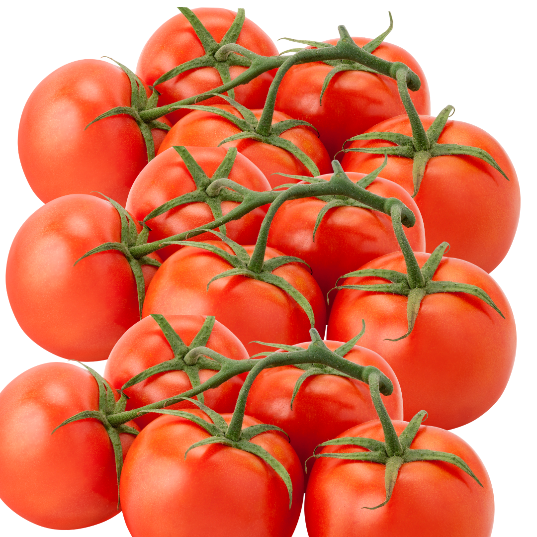 Fresh Farm Tomatoes