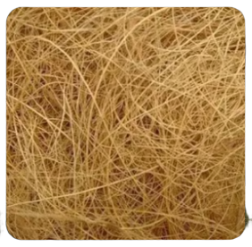 Coir Fibre